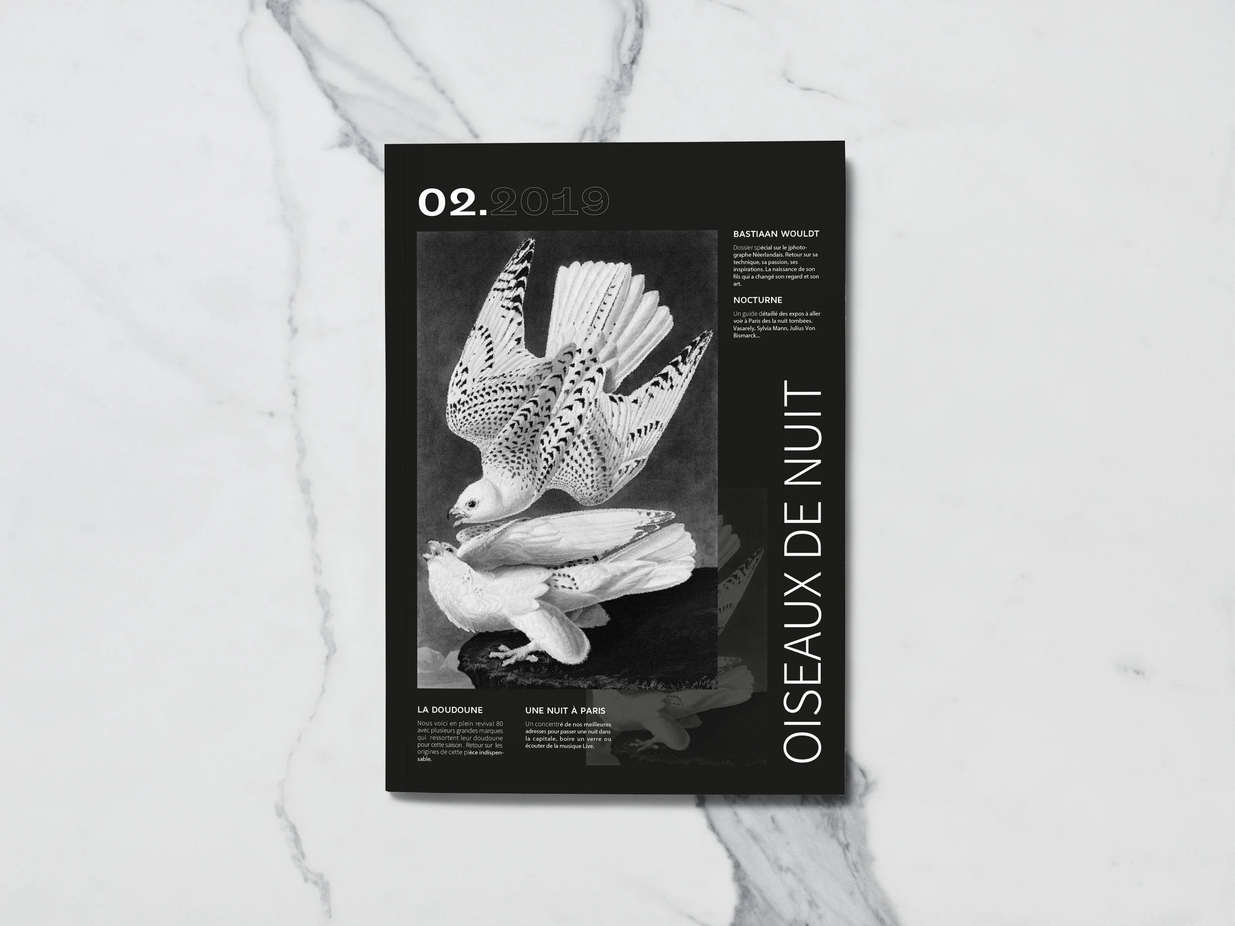 Oiseaux de nuit MockUp 2.jpg