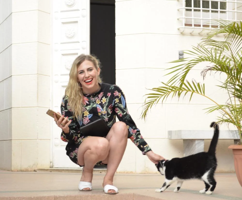 cuba kitty.jpg