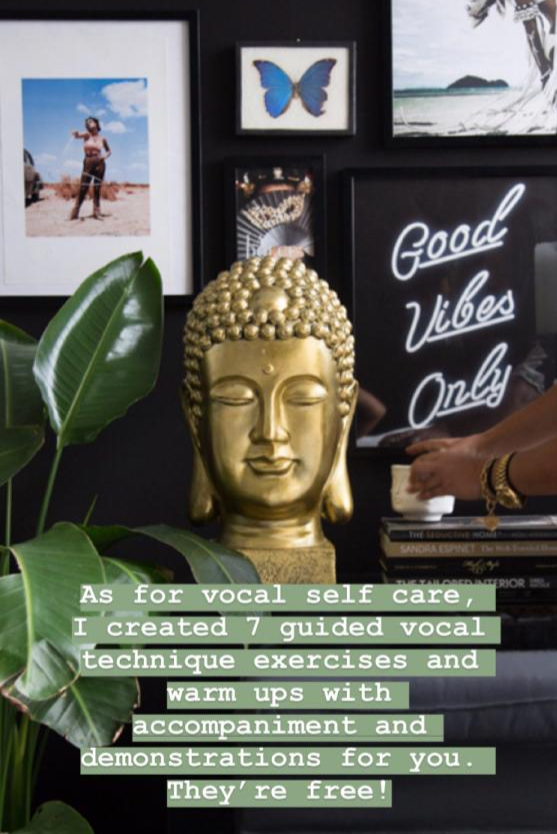 Gold Statue Good Vibes Only Sign Blue Butterfly in Frame, Various other PIctures and a plant.png
