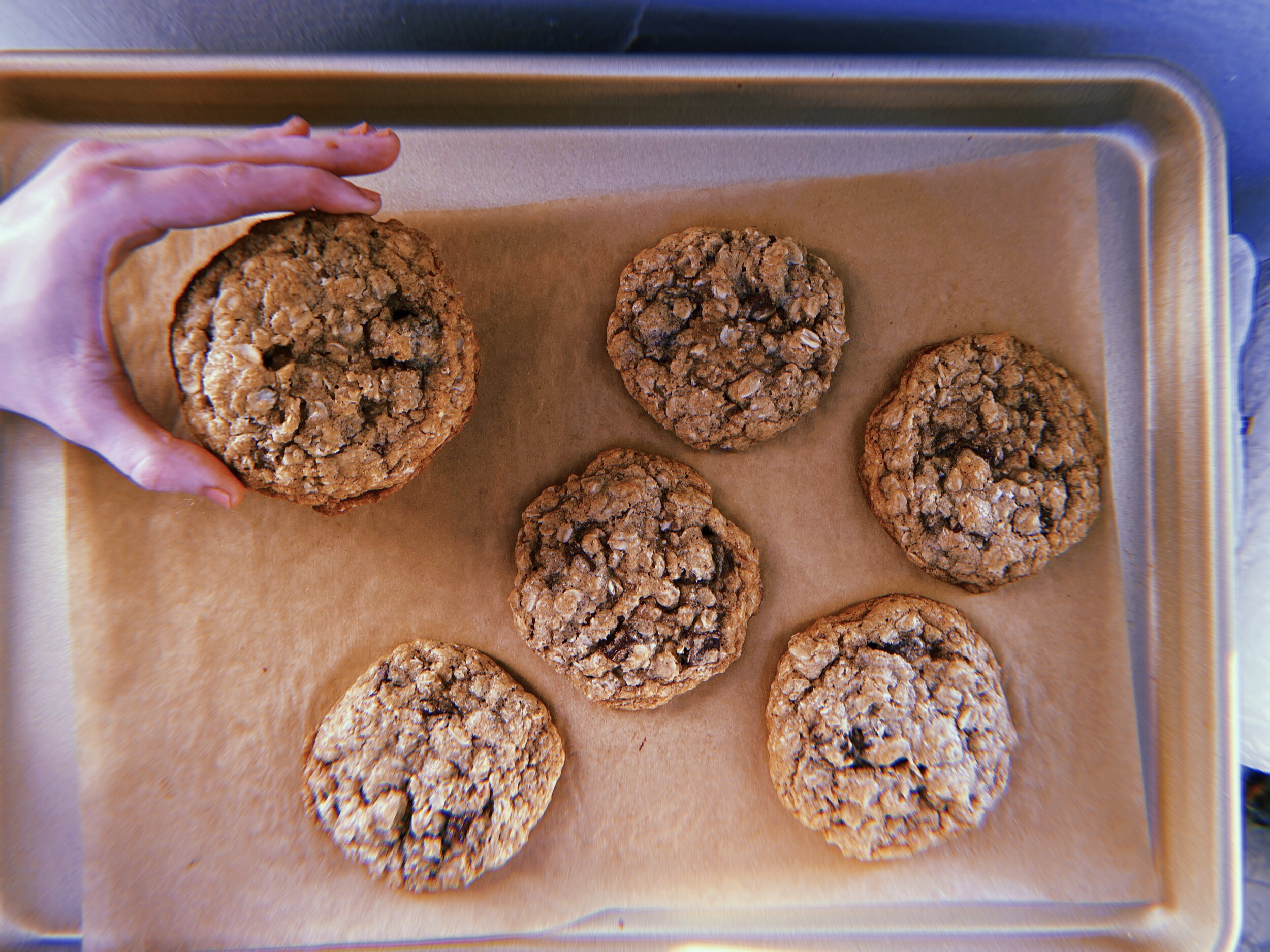 Oatmeal Chocolate Chunk Cookies
