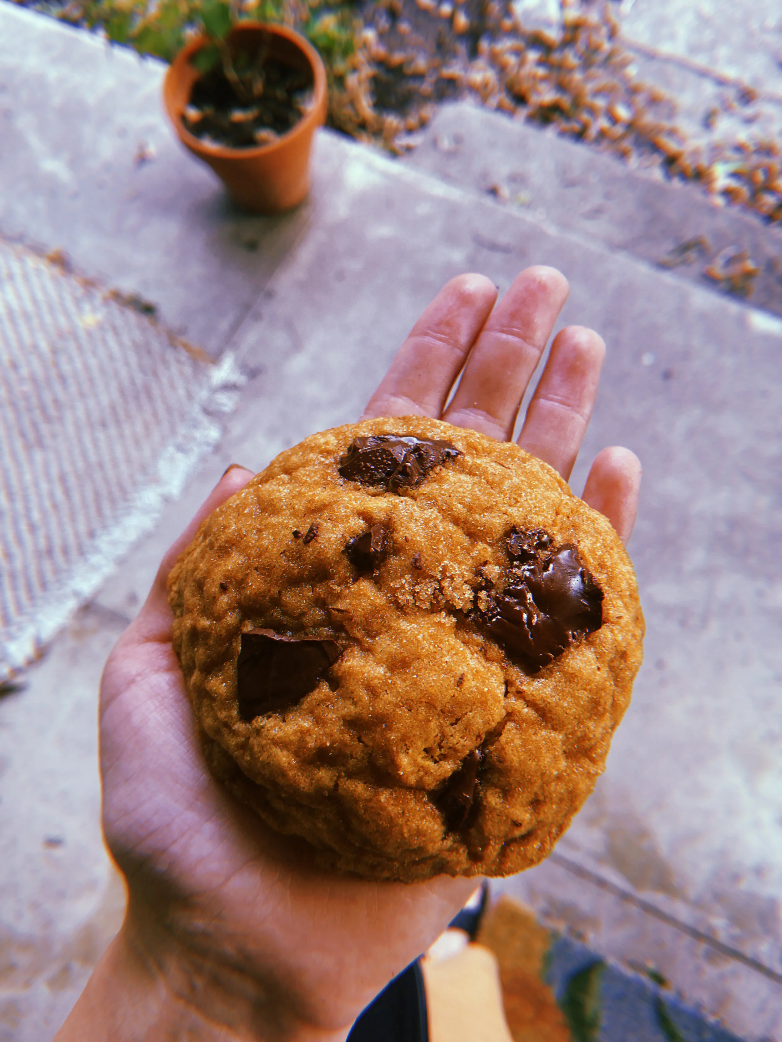 Pumpkin Muffie-Cookies