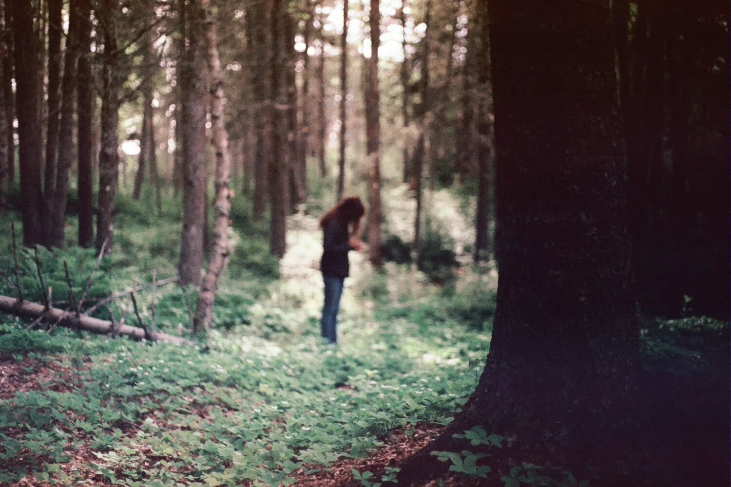 015_10A.jpg