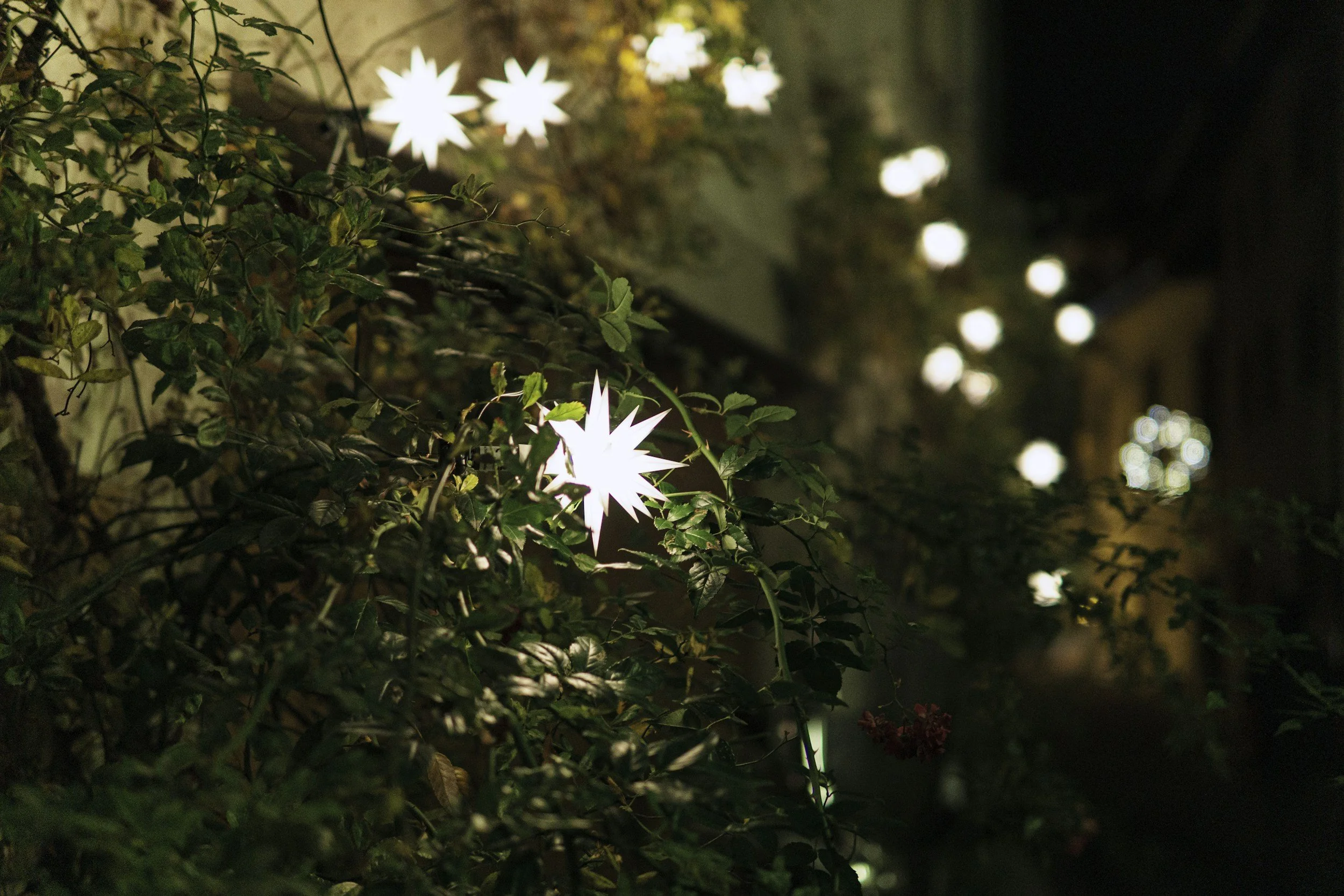 What a difference a year makes