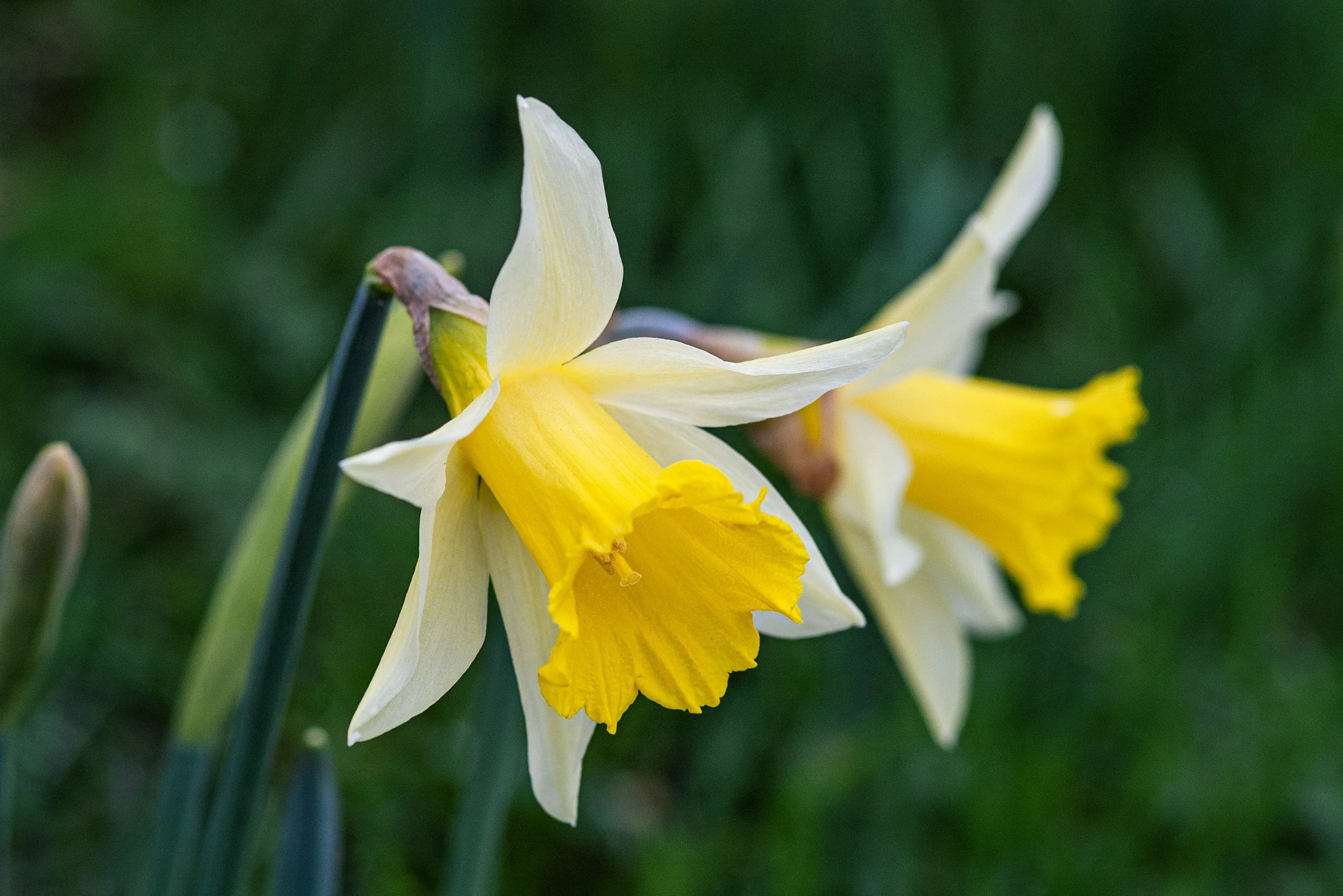 Recruitment Realities