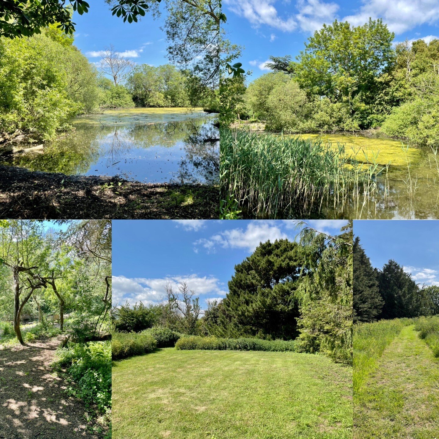 Enjoy a walk around the private nature reserve we have at Bawdsey Hall during your stay with us.

Wander in the nature reserve and take a minute to pause and take in the #wildlife &ndash; including a variety of #birds, #mammals, #insects and rare #tr
