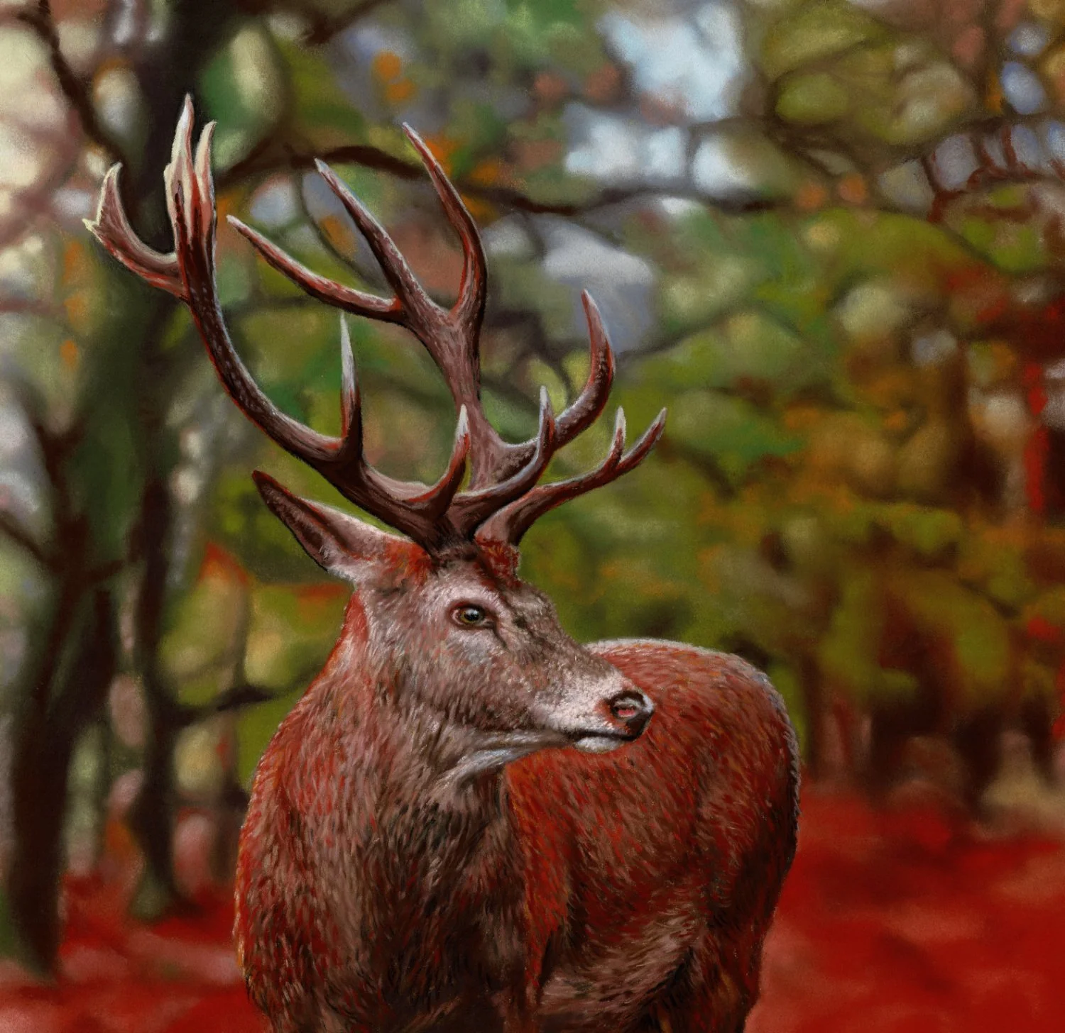 Autumn Fire SOS small.jpg