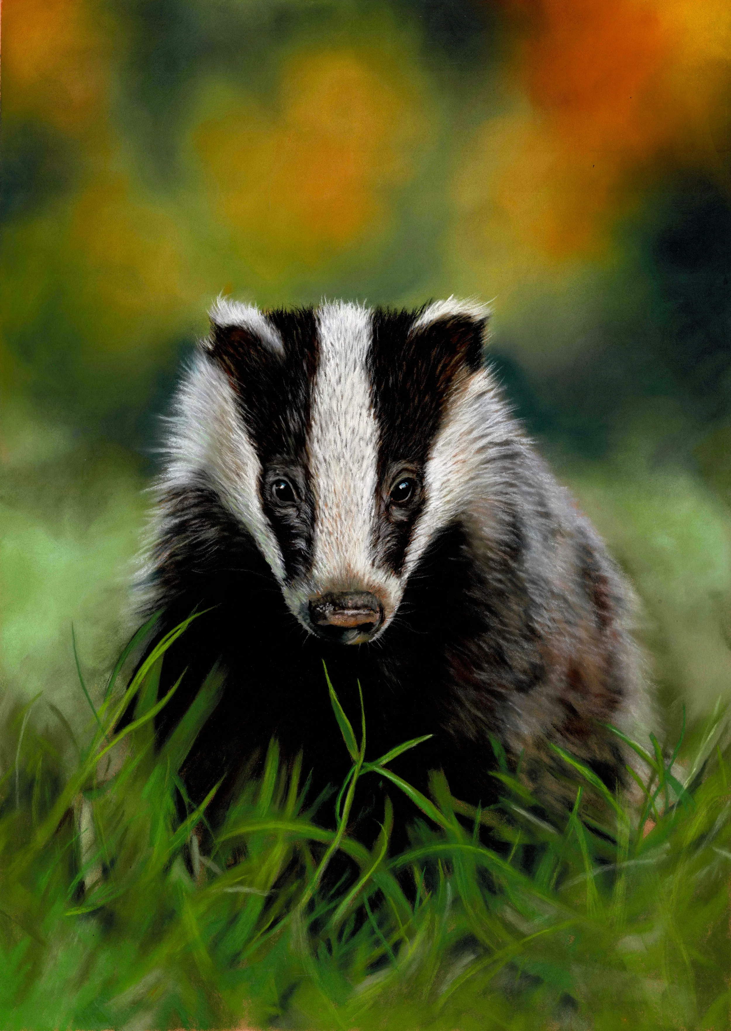 Badgerglow .jpg