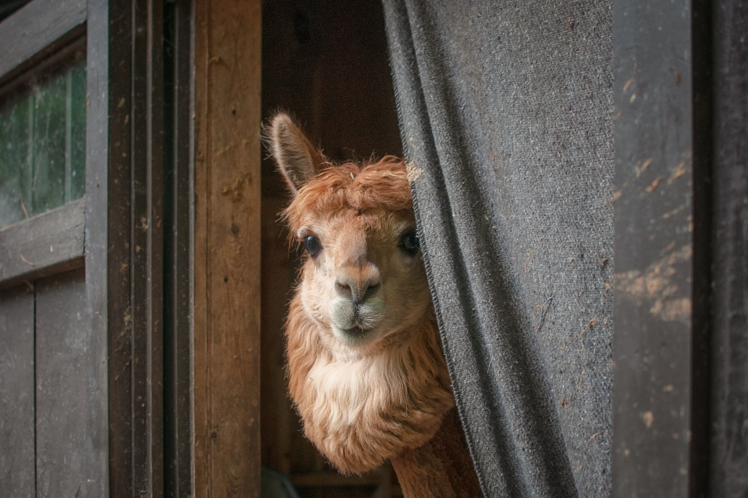 _DSC7301-Edit.jpg