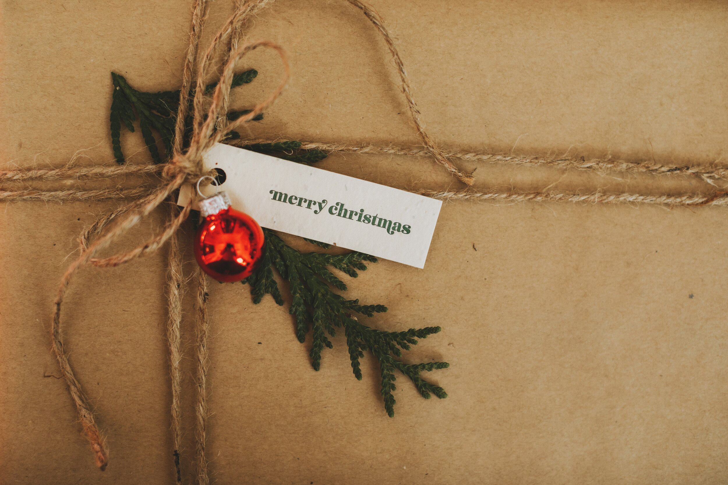 Plantable Seed Paper Merry Christmas Gift Tags