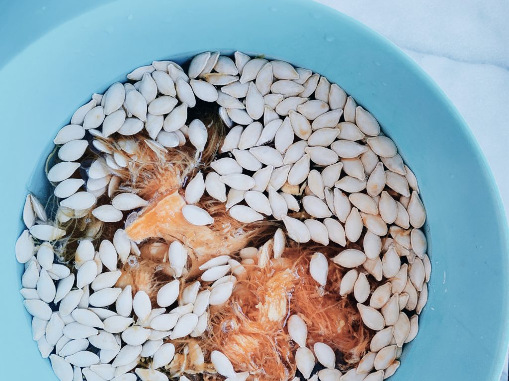 Making roasted pumpkin seeds? Try this easy seed separating hack!