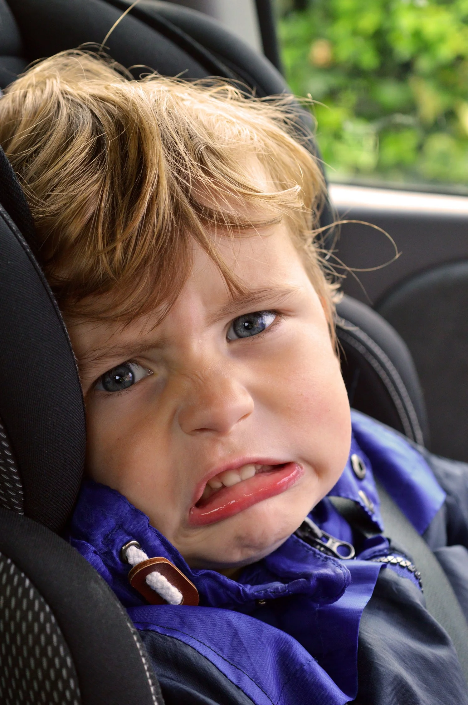 Canva-Boy-Child-Kid-Family-Disgust-Frown-Young.jpg