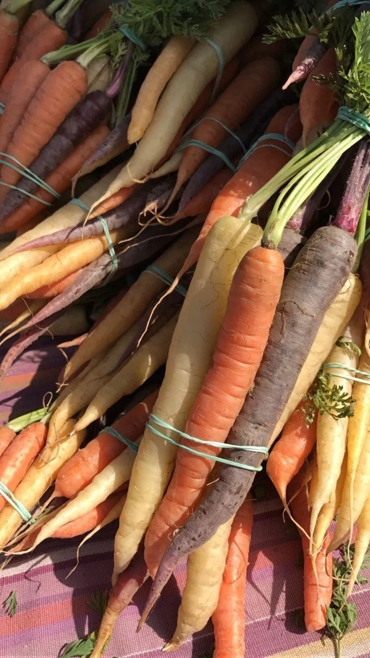 rainbow-carrots.jpg