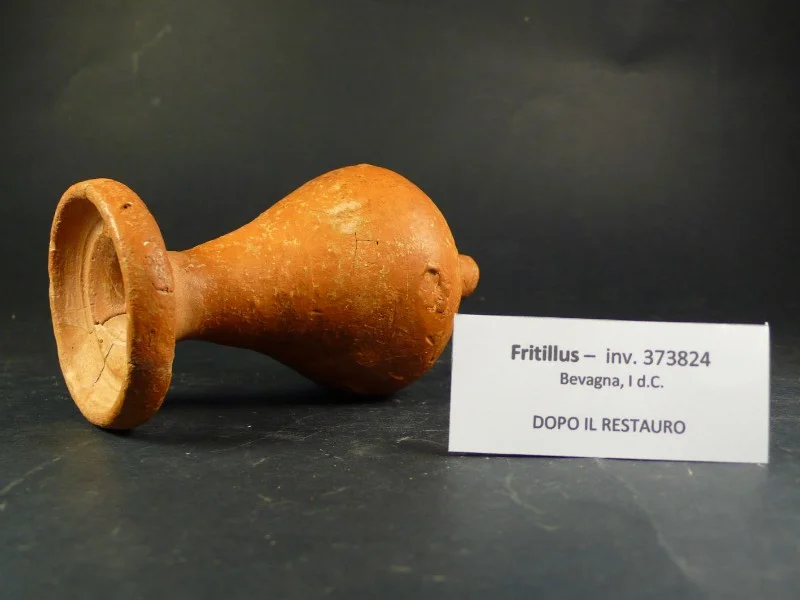 Fritillus inv. 373824