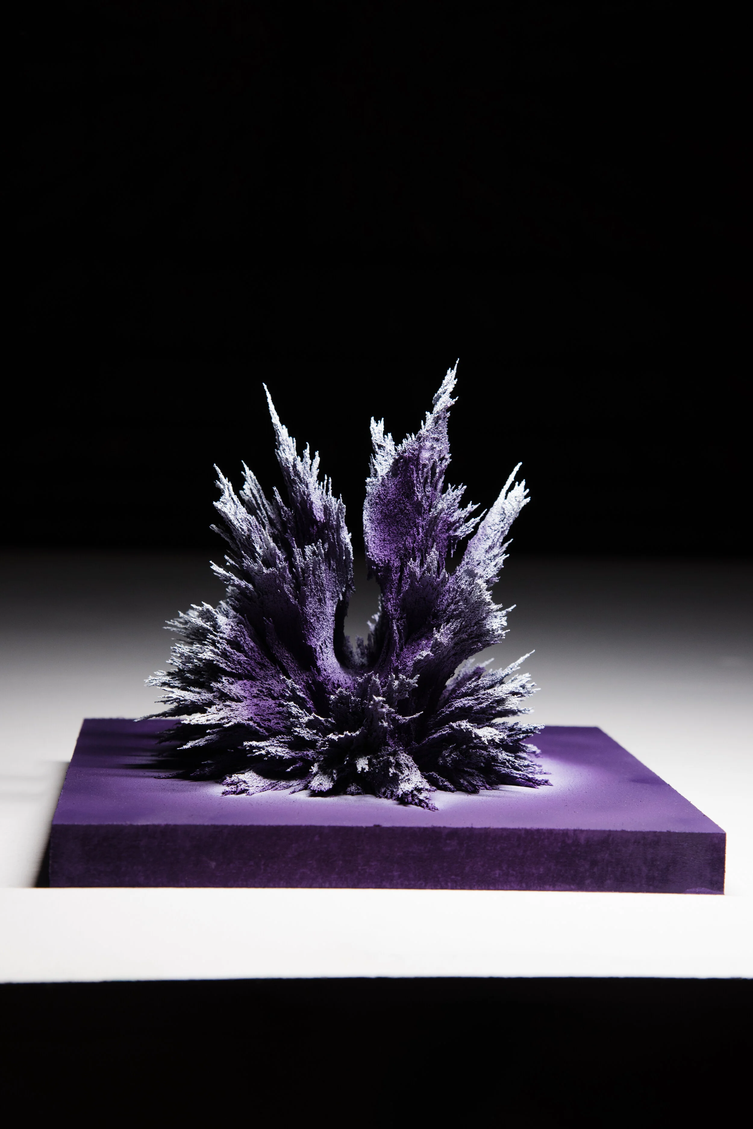 Matthew Gallagher - Haruspex