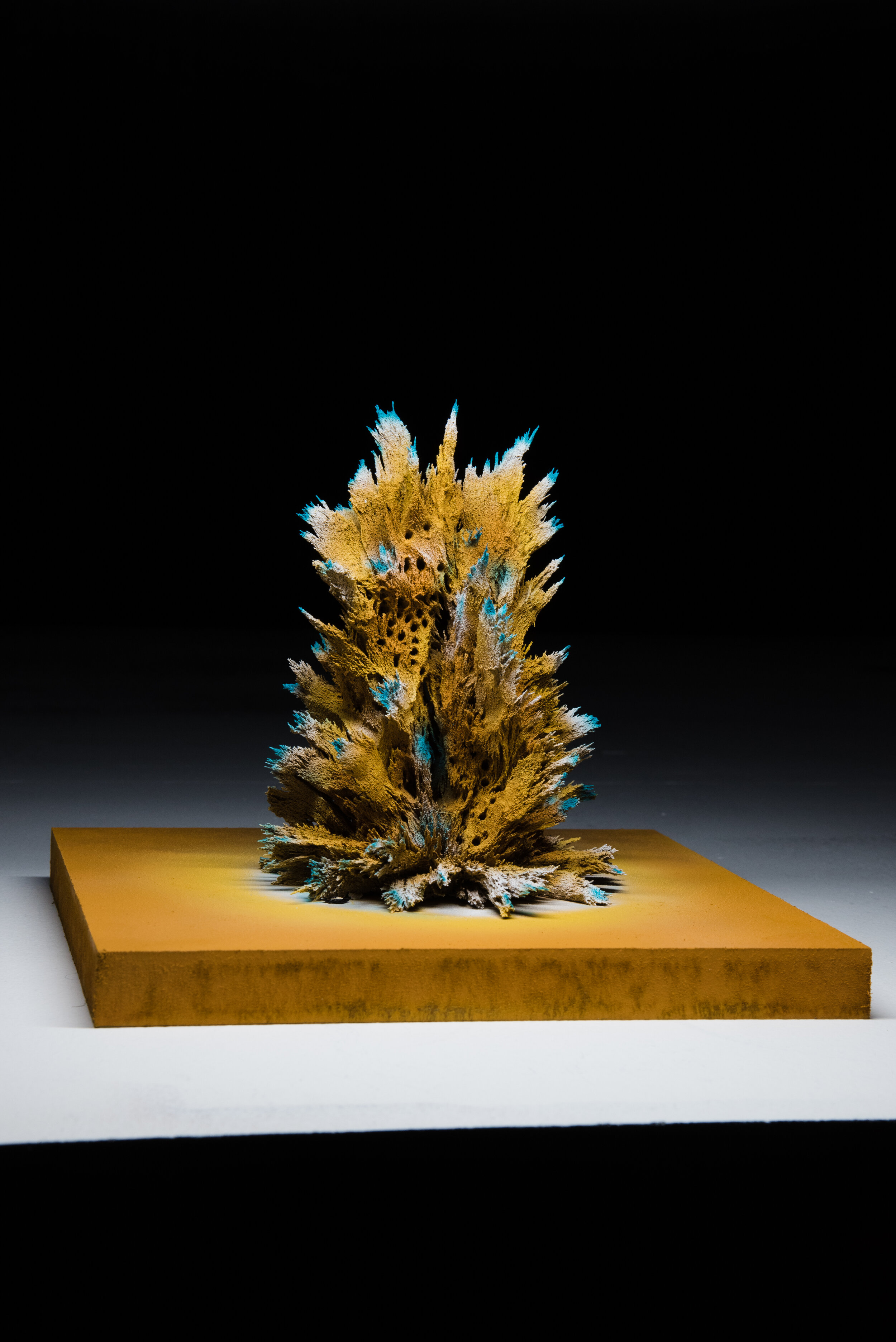 Matthew Gallagher - Dmitri