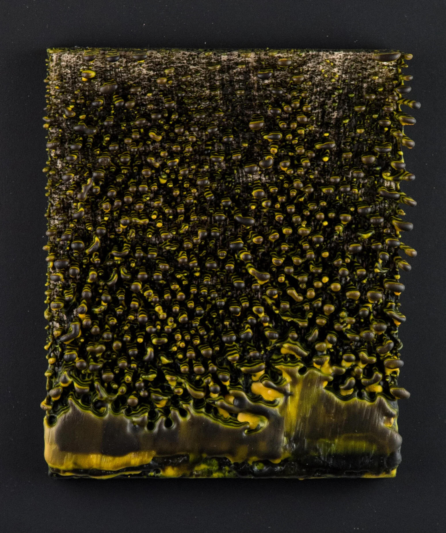 Matthew Gallagher - Apiary