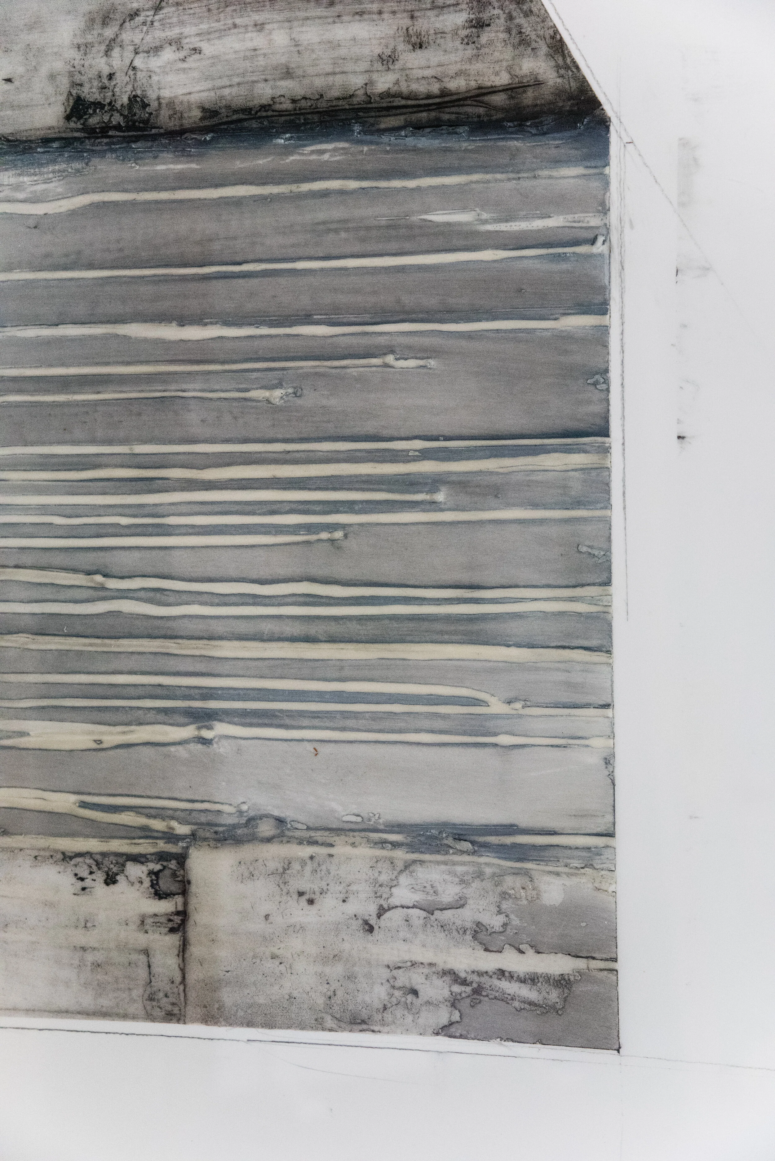 Kier_Domus Redux Study 1_Encaustic Wax + Oil on Frosted Mylar_42x28 inches_2018_Detail-4.jpg