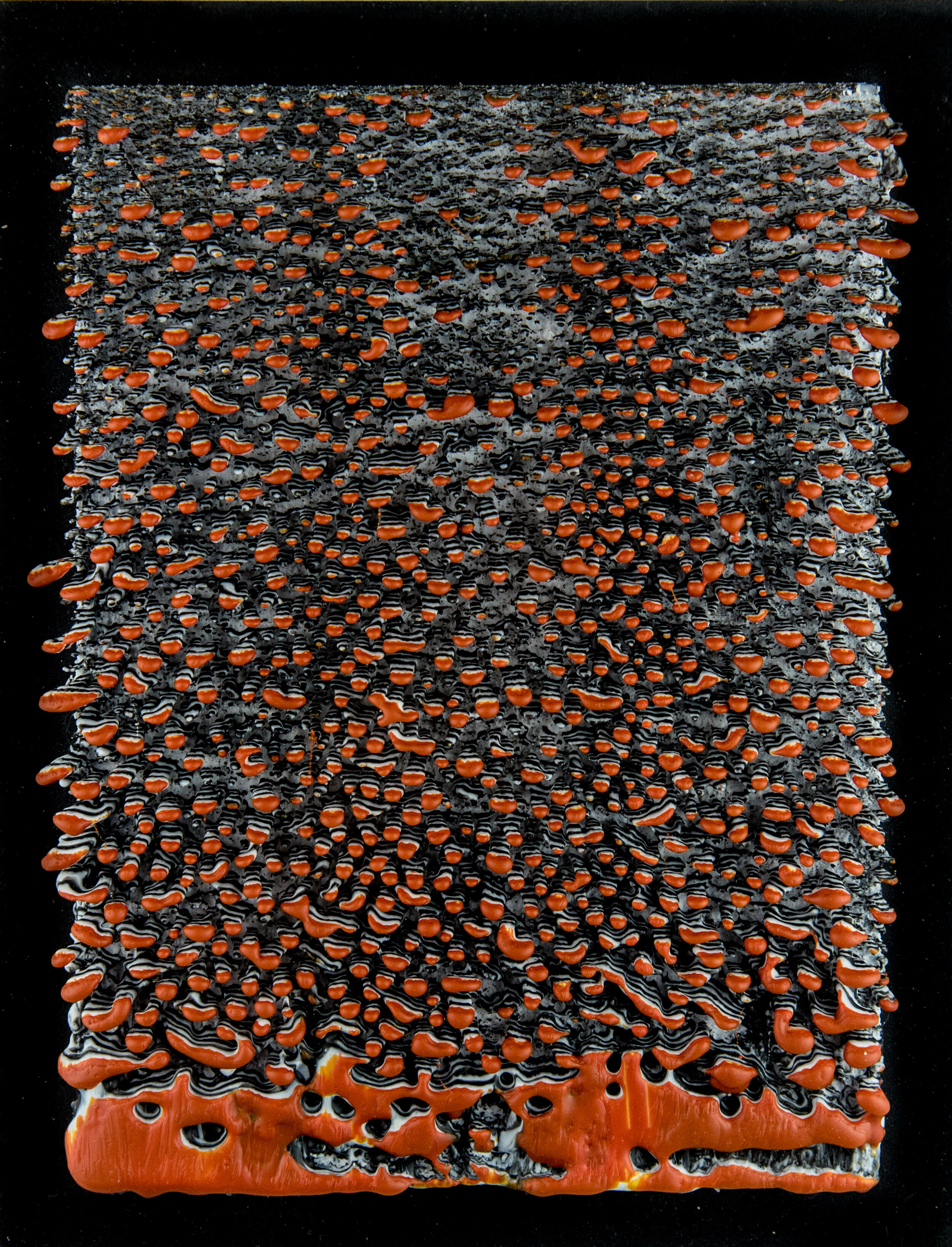 Matthew Gallagher - Alizaran