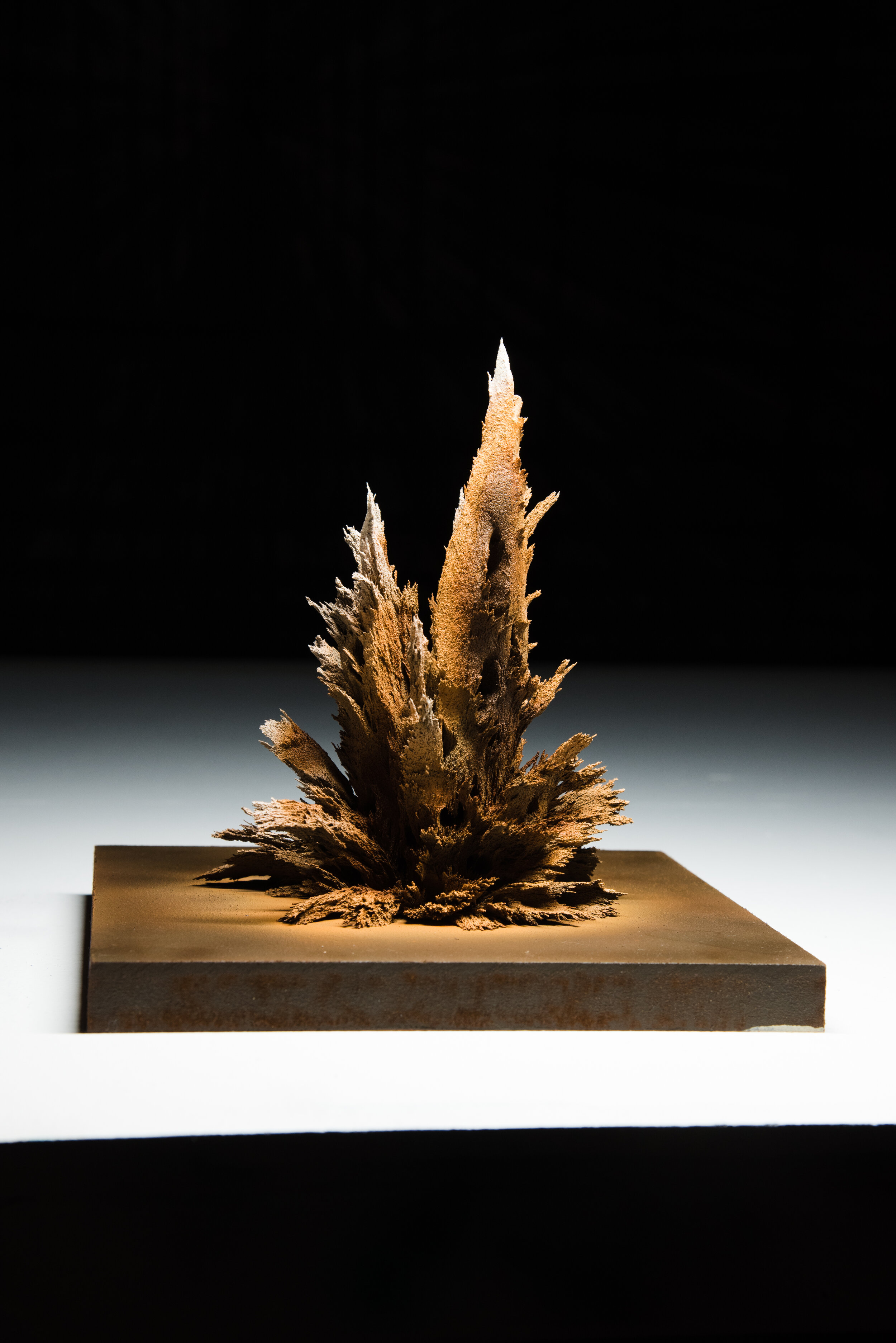 Matthew Gallagher - Dayum