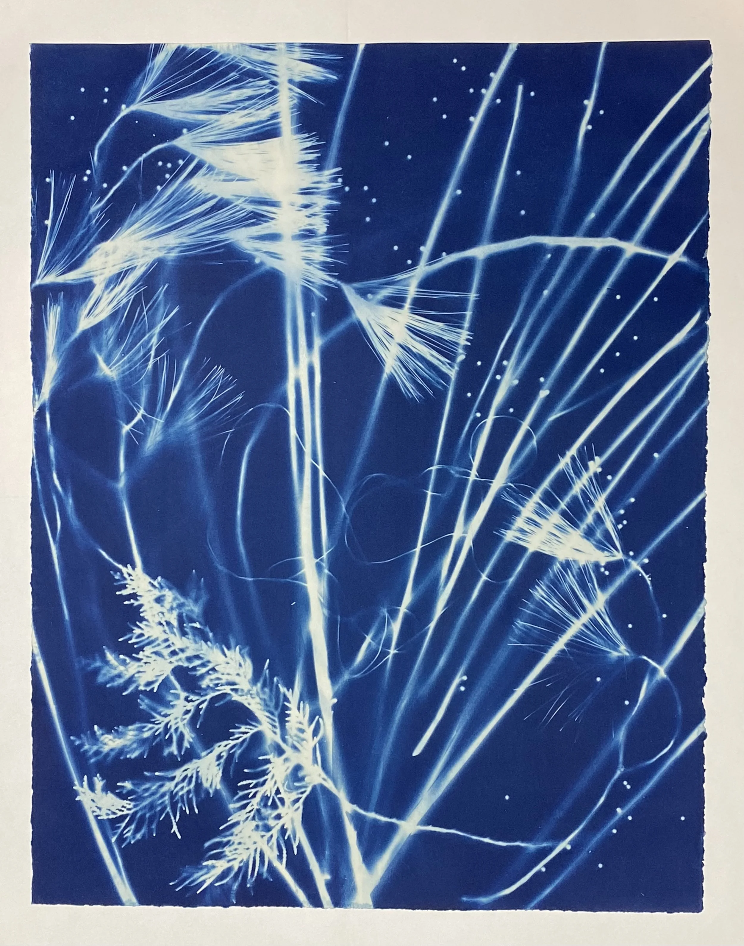 31.Lisa Schonberg.Winter Horsetails Sweep.jpeg