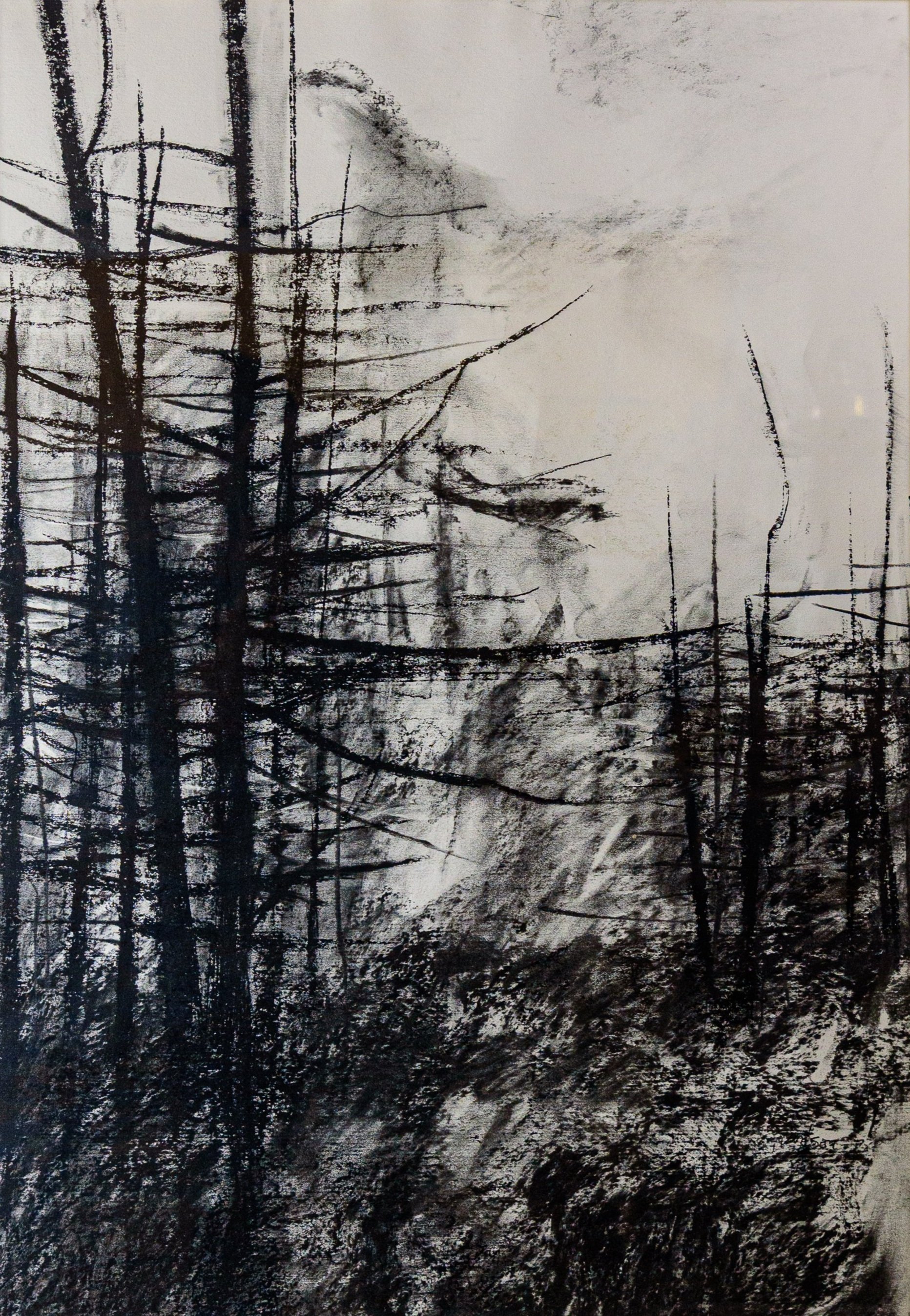 John+W.+Carlson_Tree+scape__Charcoal+on+paper_31%E2%80%9DL+x+41%E2%80%9DH_year+TBD_%28black+frame+behind+glass%29+%281+of+3%29.jpg