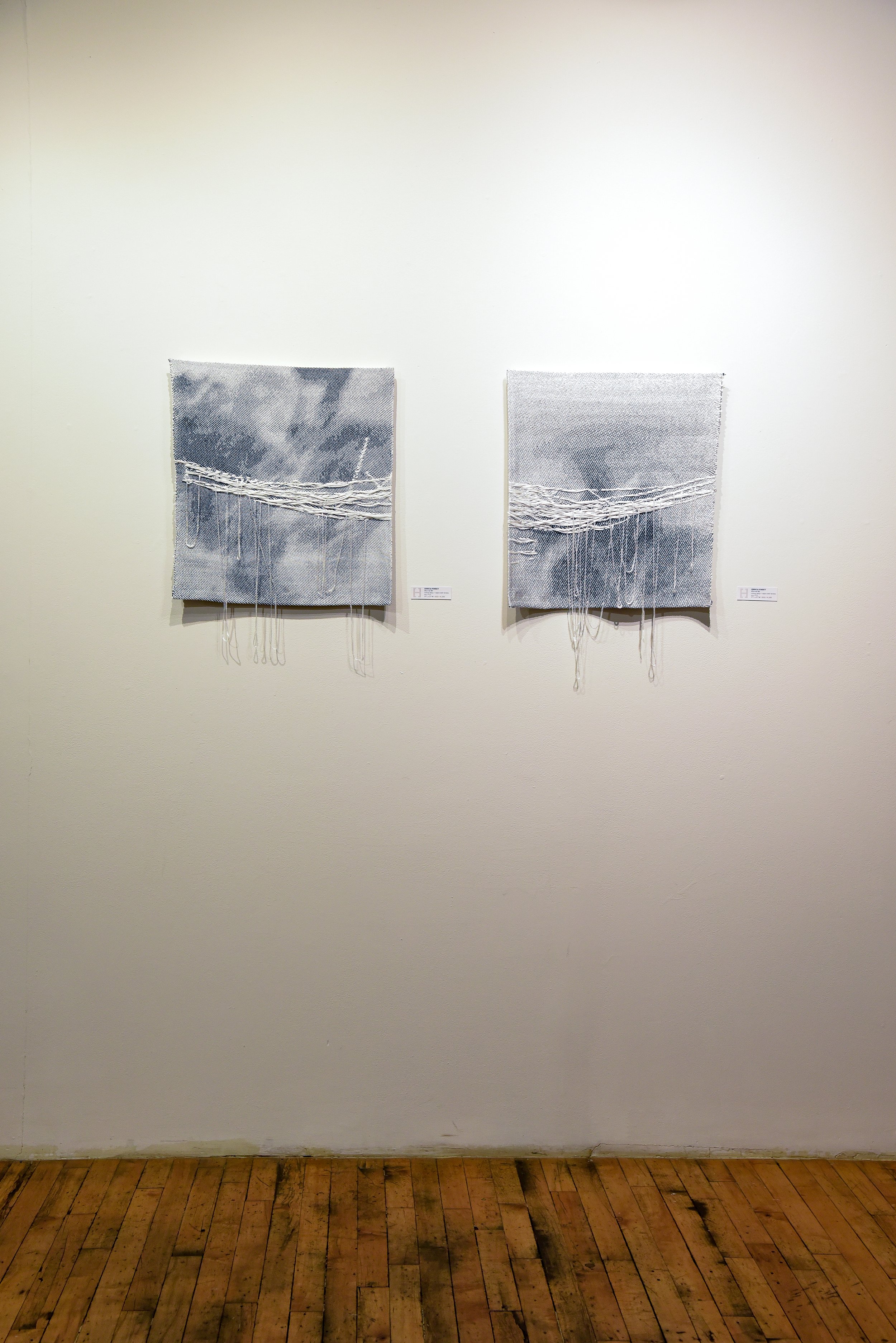 Gallery Interior_Jessica Pinsky_I Can't Remember Anything-6.jpg