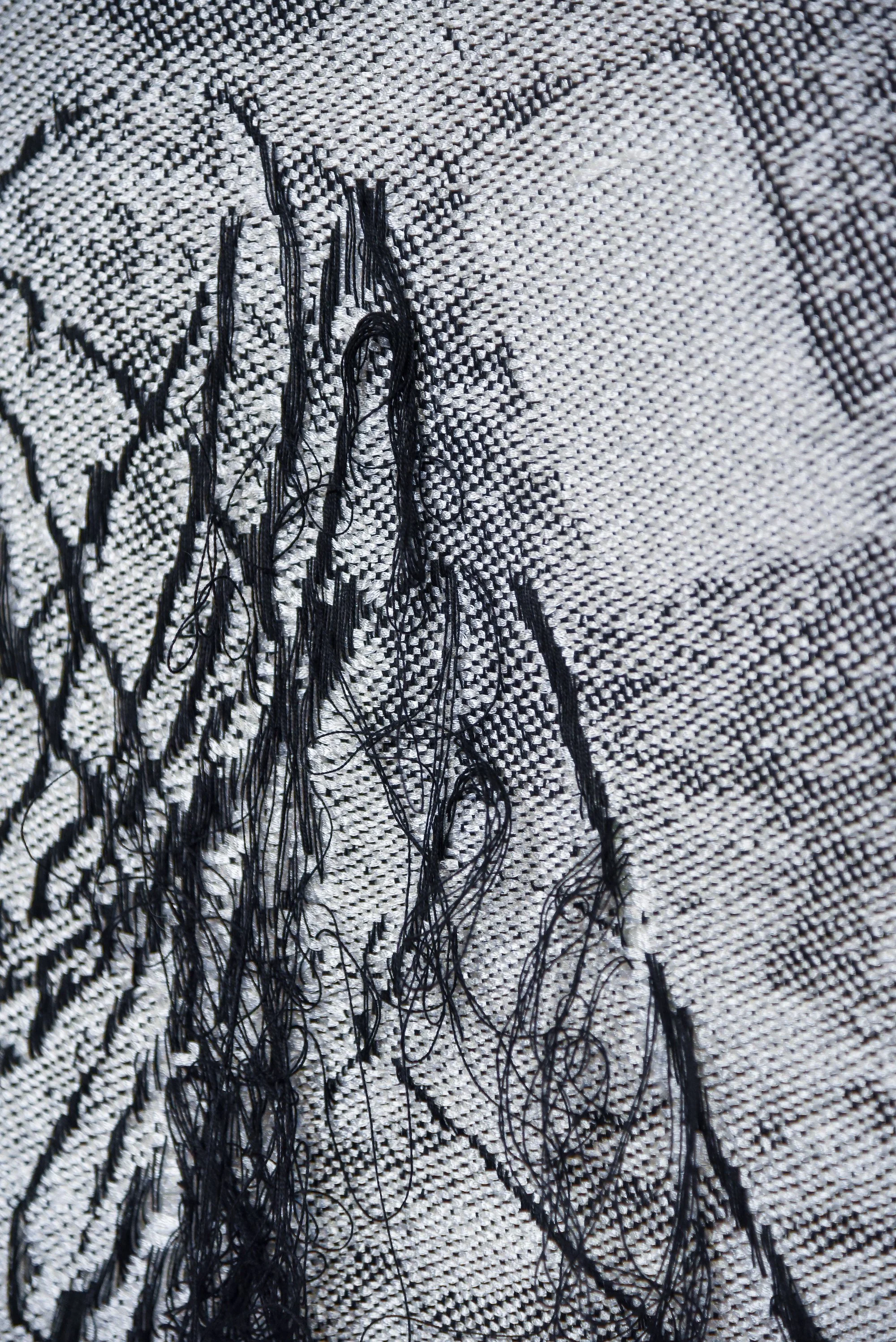Jessica Pinsky_Blurred #9_Cotton Warp + Rayon Welt Woven on TC2 Jacquard Loom_21”L x 18.5”W_2022 (3 of 3).jpg