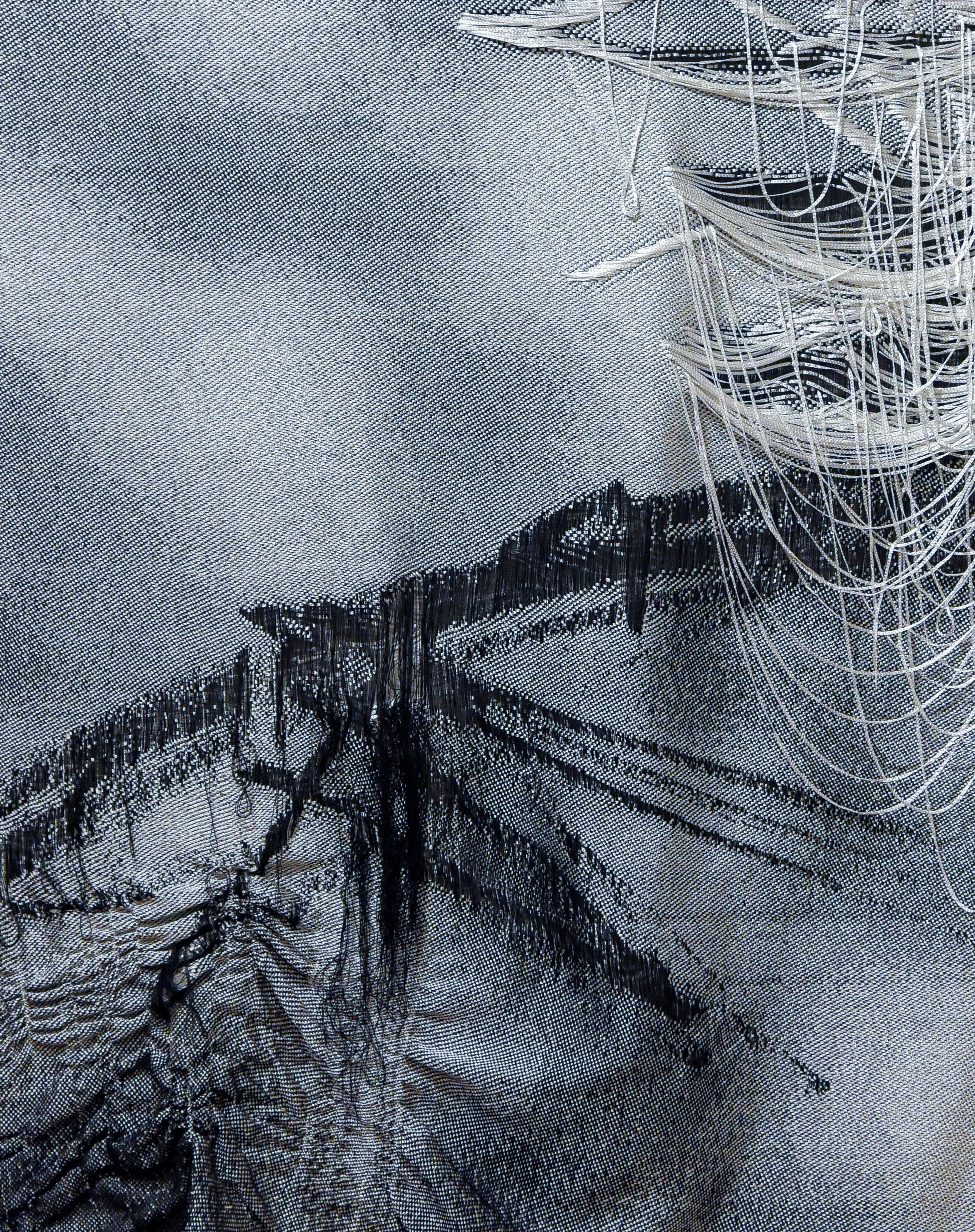 Jessica Pinsky_Blurred #11_Cotton Warp + Rayon Welt Woven on TC2 Jacquard Loom_42.5”L x 36.5”W_2022 (5 of 12).jpg