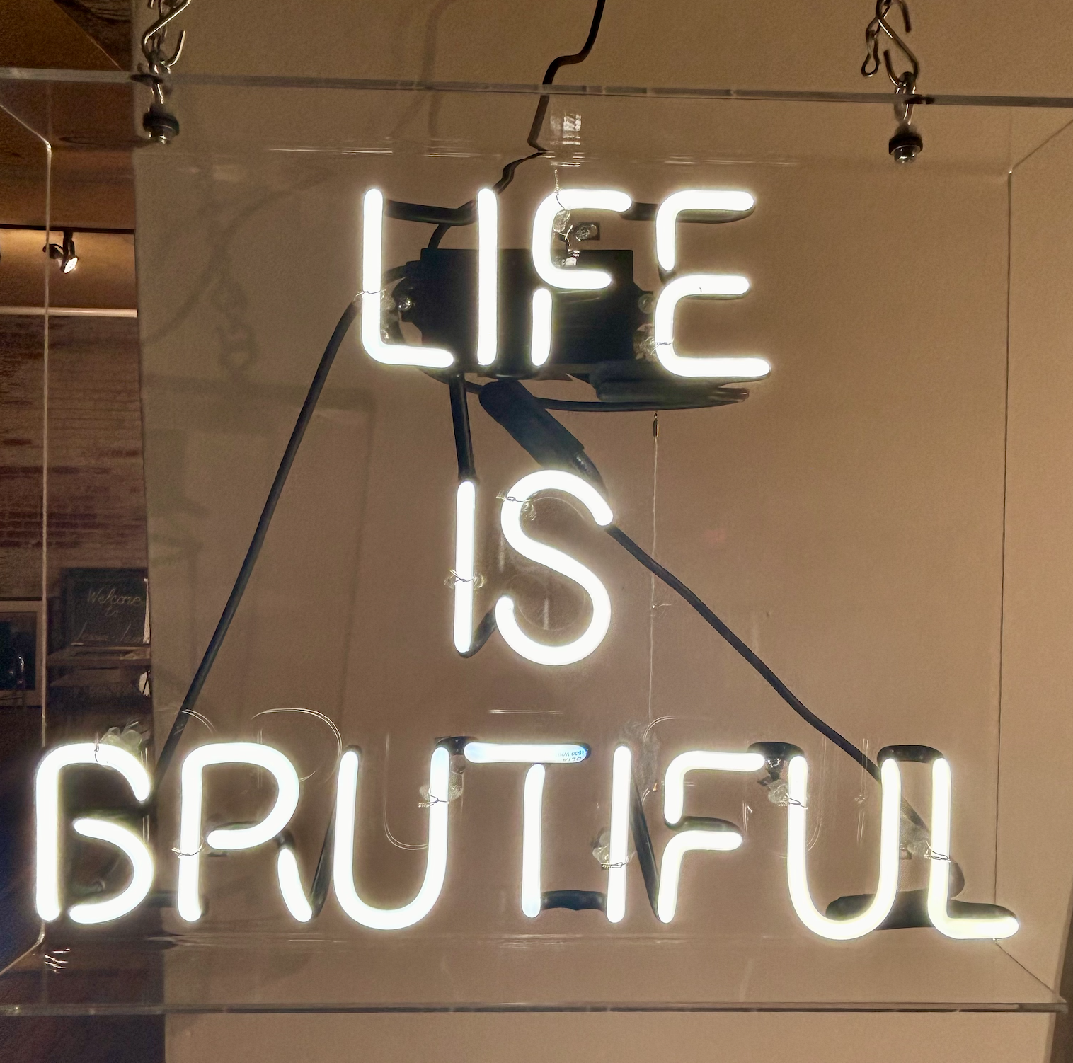 Liz Maugans - Life Is Brutiful