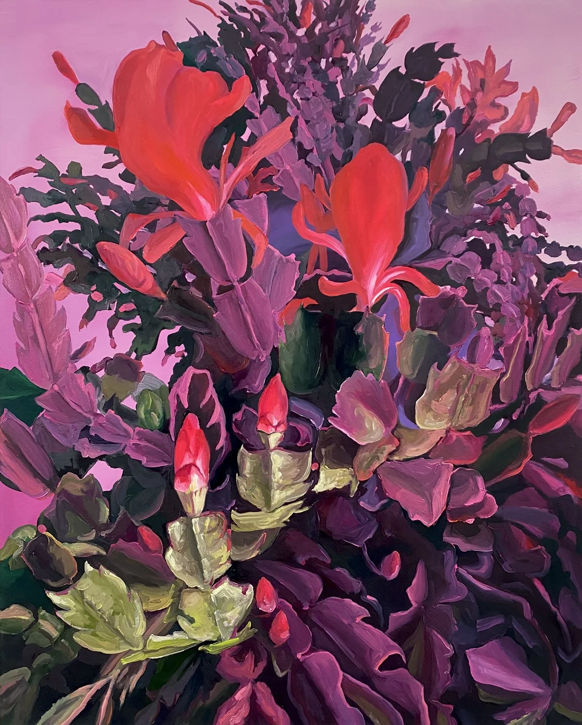 Katy Richards - Christmas Catcus