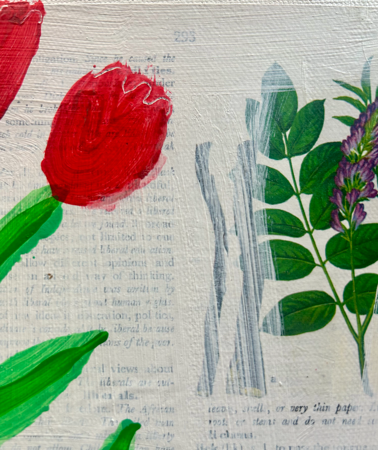 Screen Shot 2024-12-03 at 12.53.53 PM.png