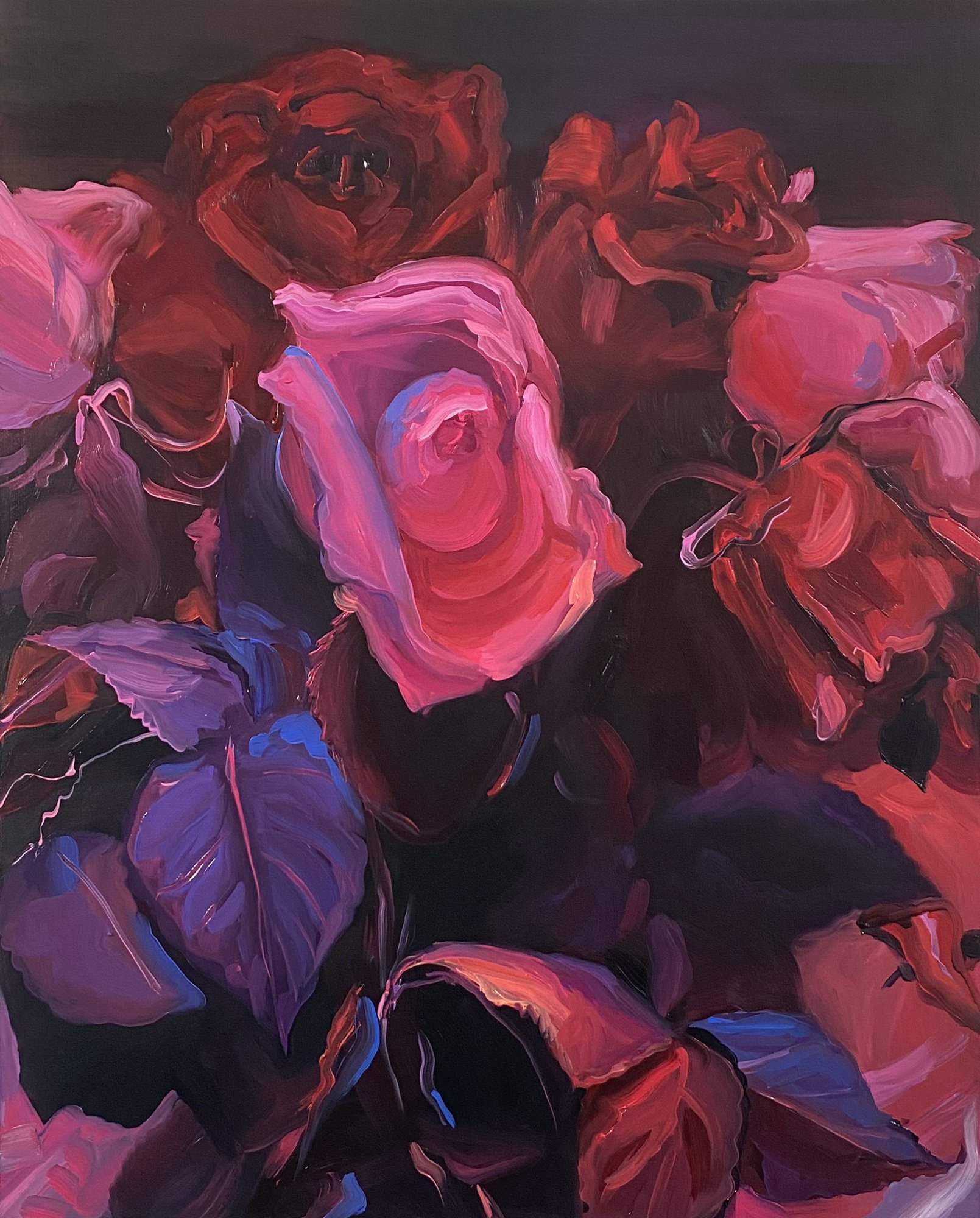 Katy Richards - Roses