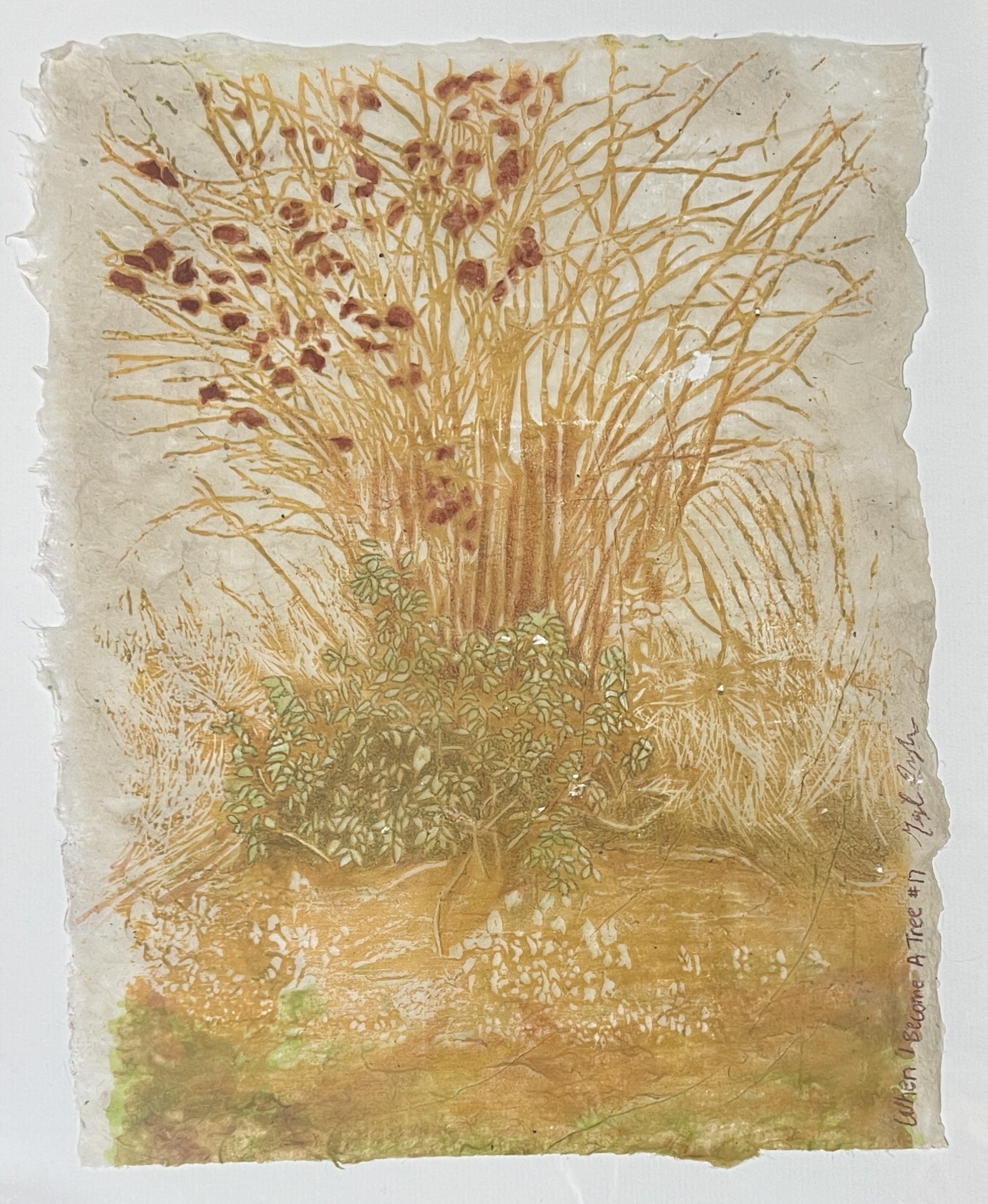 Meryl Engler - When I Become A Tree #17