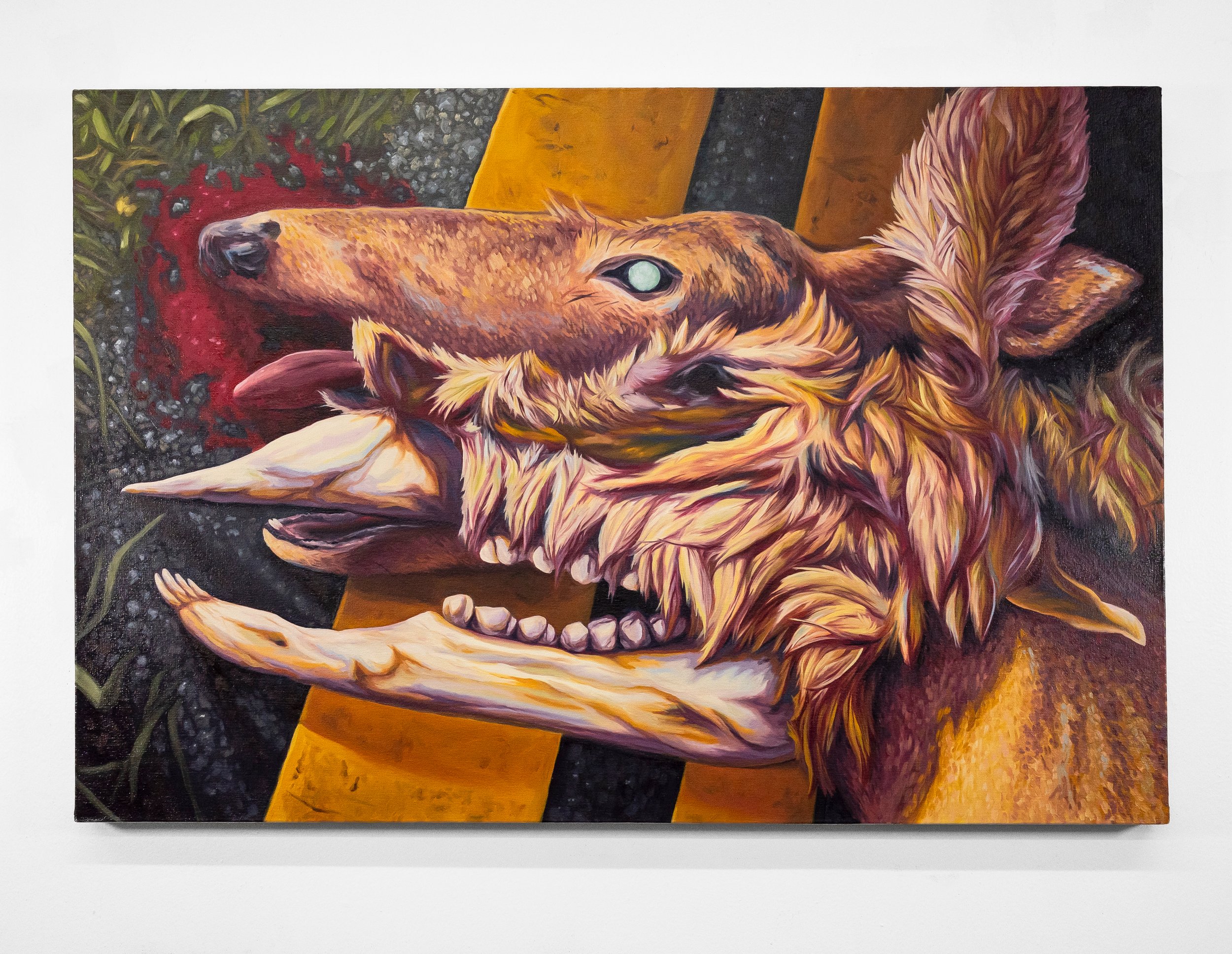 Transit (Chagrin Blvd.) (1).jpg