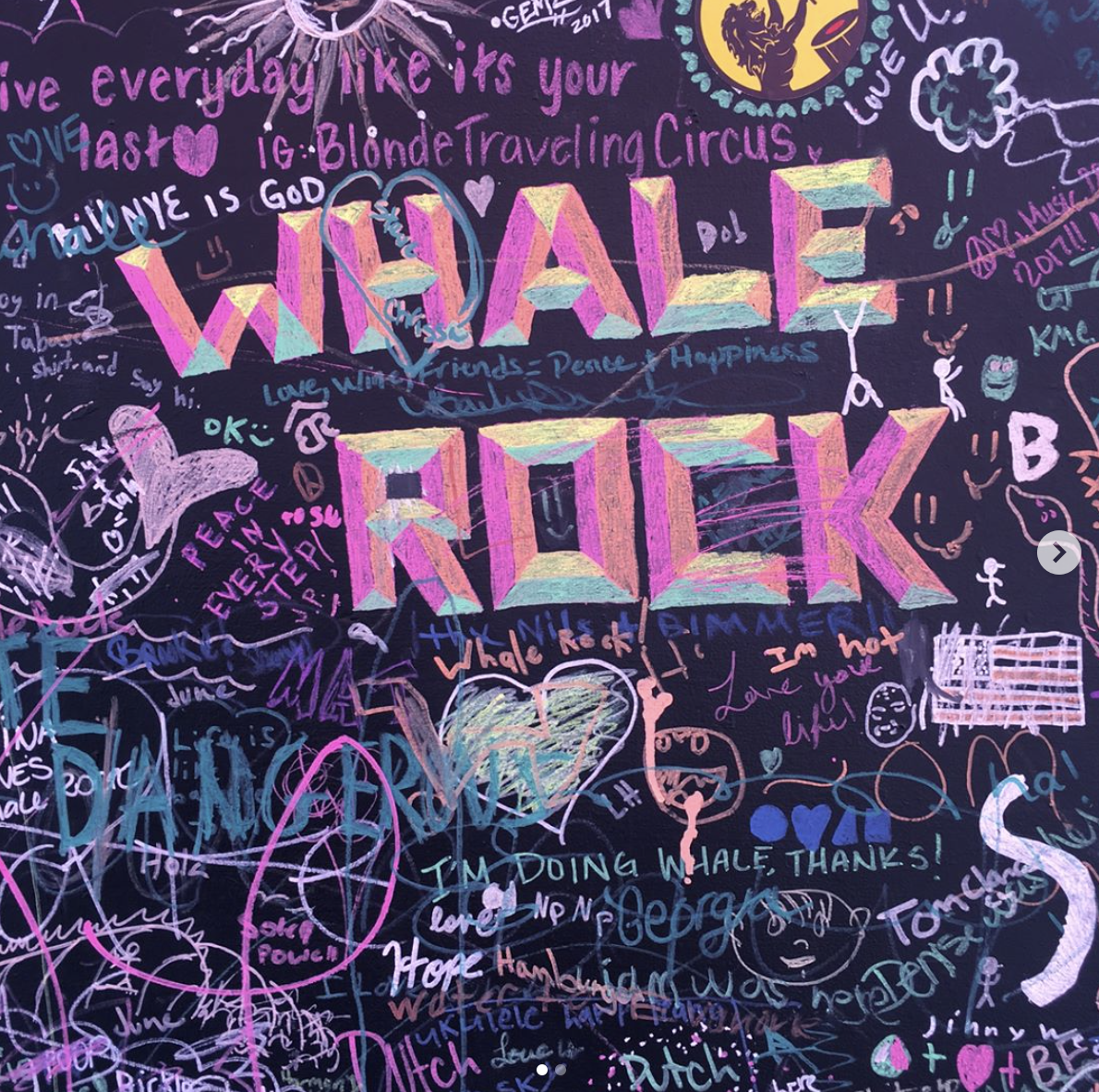 Tips from Whale Rock