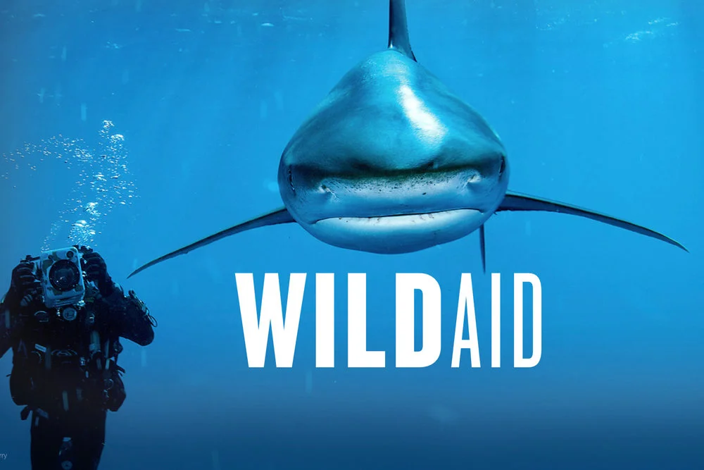 Wildaid