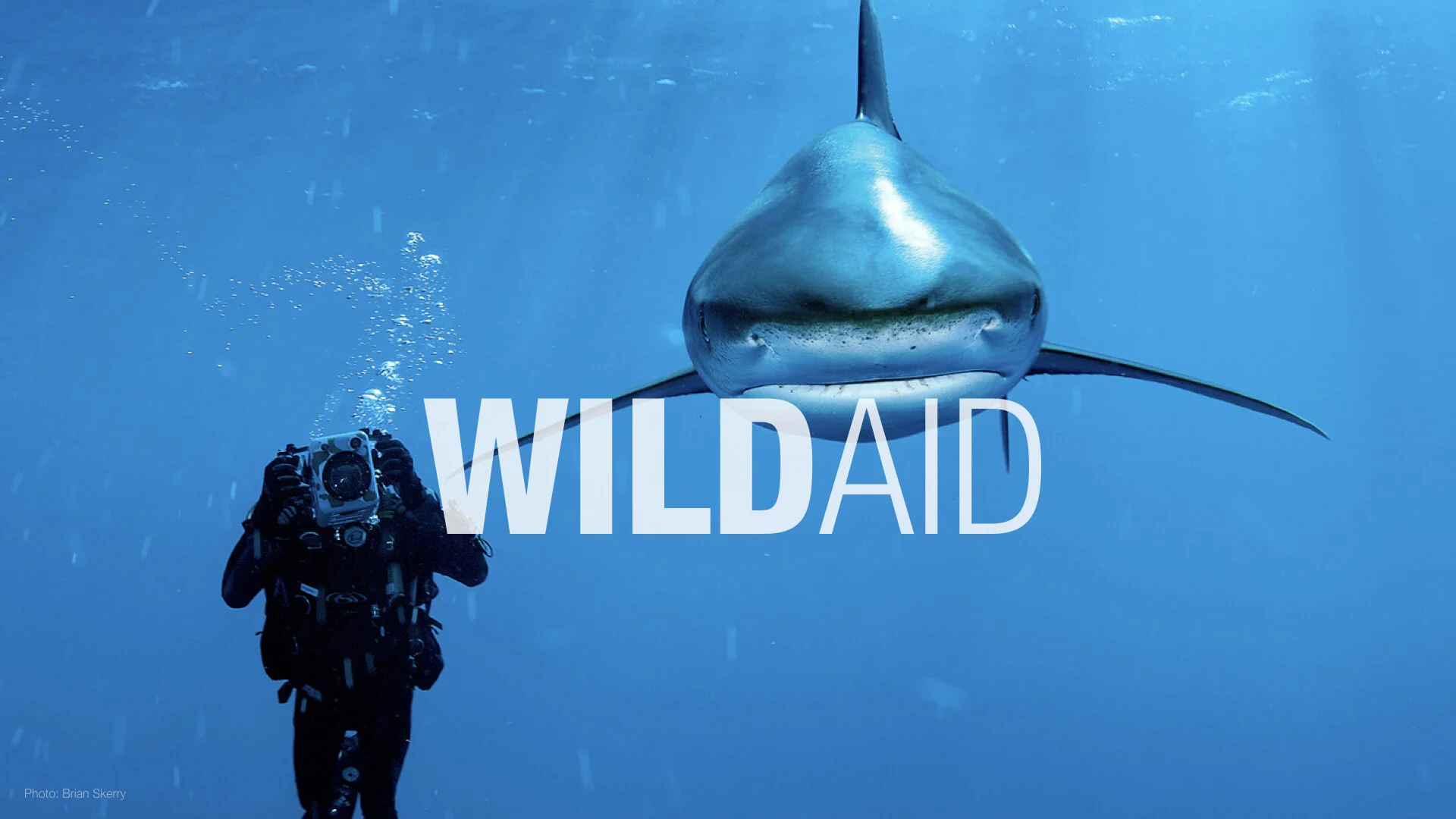 WB SQUARESPACE WildAid Oceanic.001.jpeg