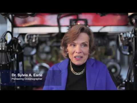 Protecting Sharks & Our Seas