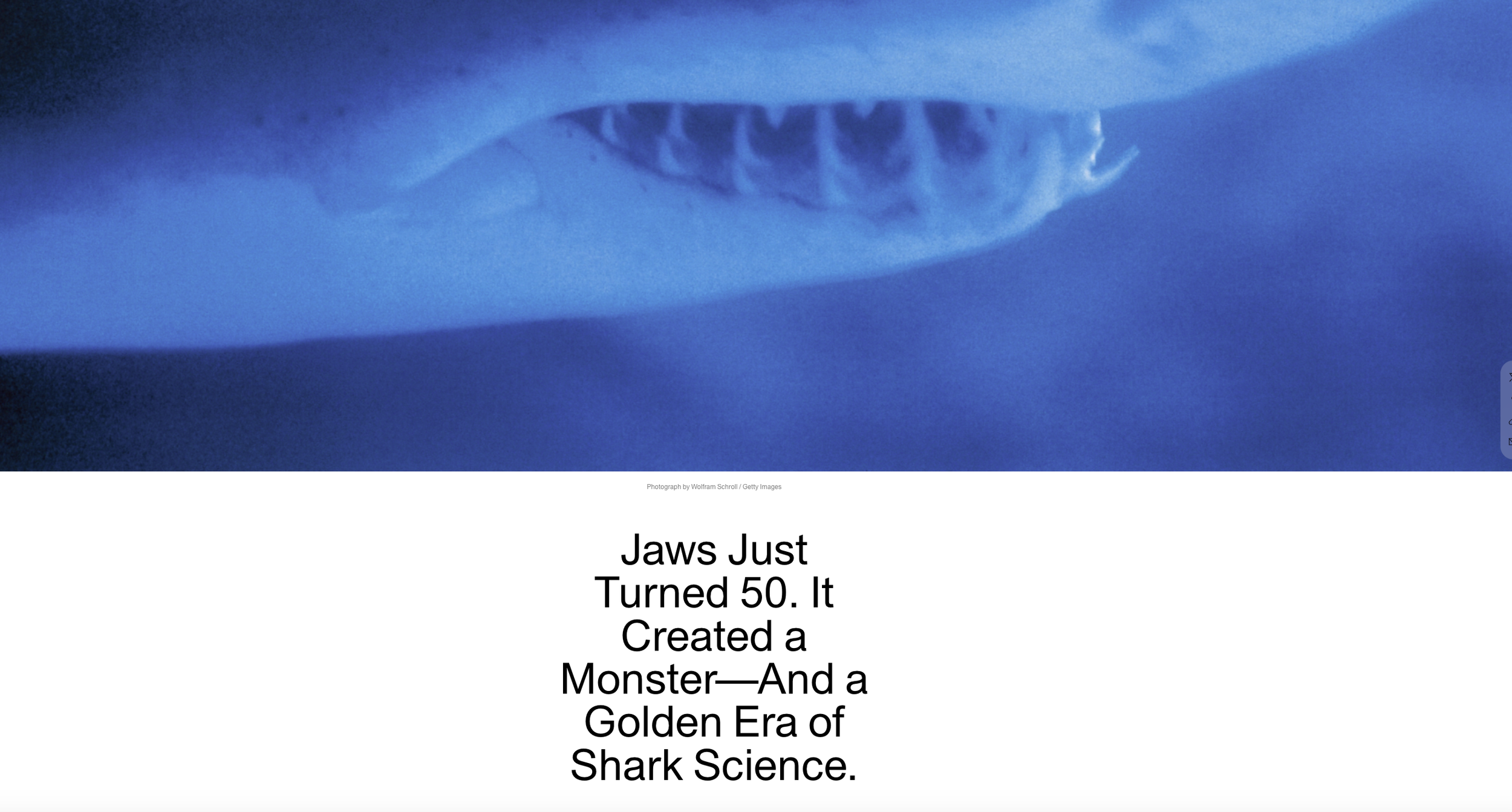 Jaws Ushers in Golden Age of Shark Science