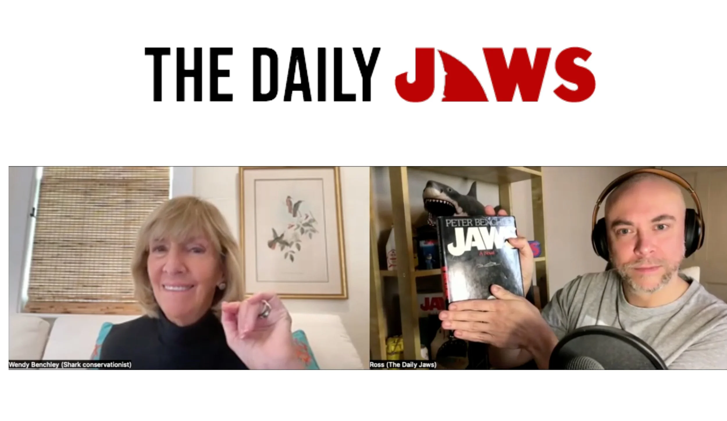 Wendy's Interview with The Daily Jaws 