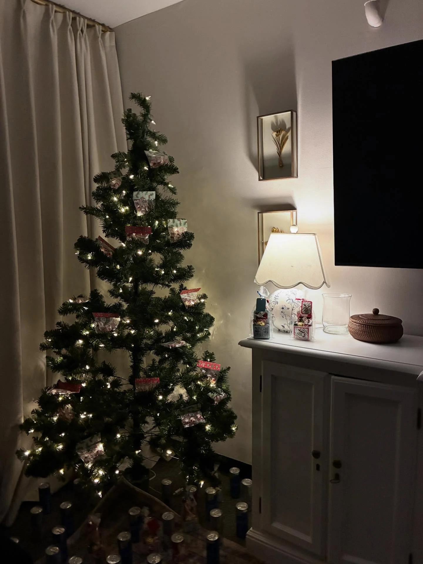 feeling the holiday spirit from the aphi living room 😚

#aphiarchive #rpialphaphi