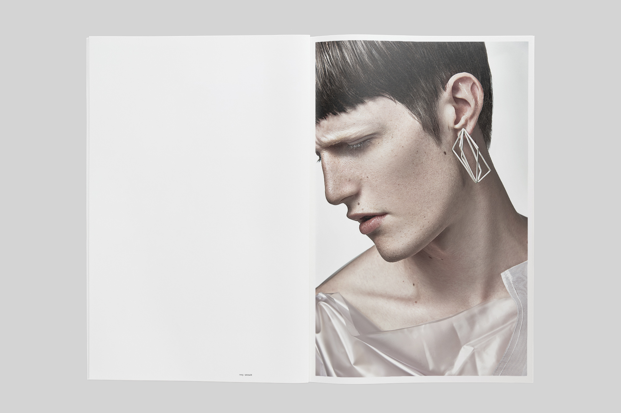 V_book_0007_Layer Comp 8.jpg