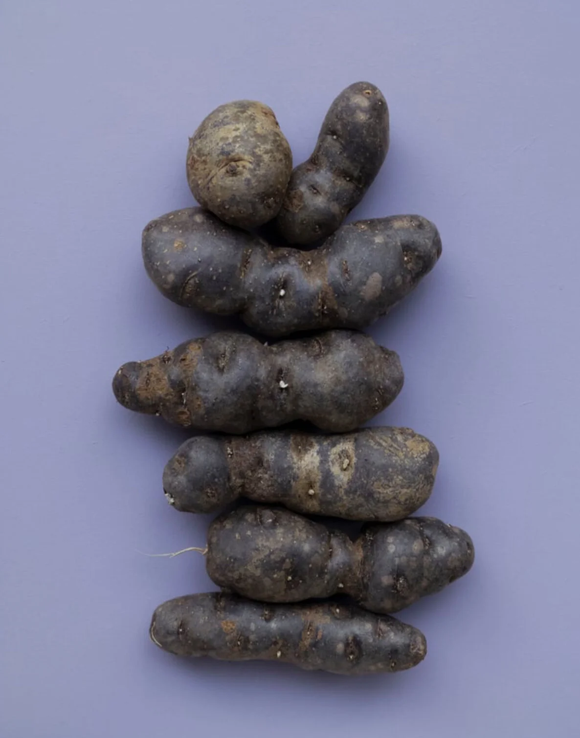 What Can I Do With This? 