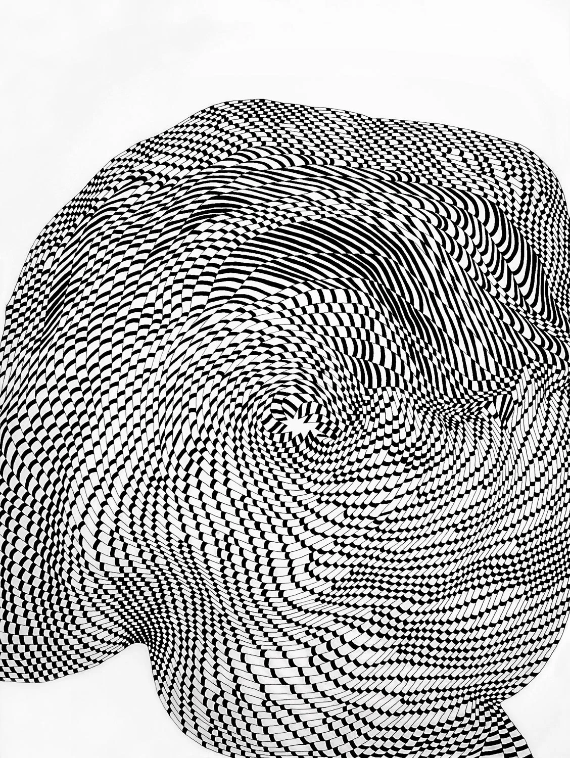 Checkmarks 4 , 2016 ink on paper 40 x 30 in (102 x 76.2 cm)