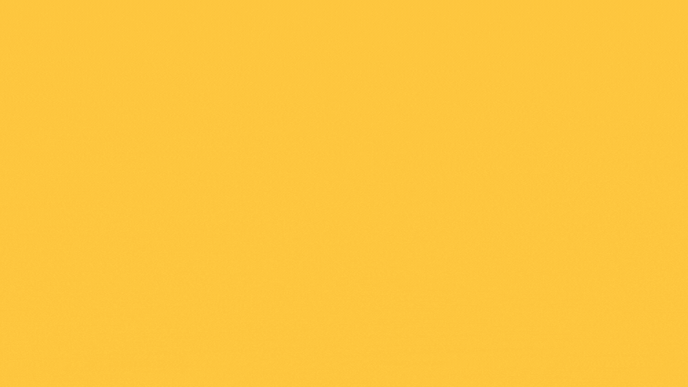 Scope_Animation_Round_2.gif