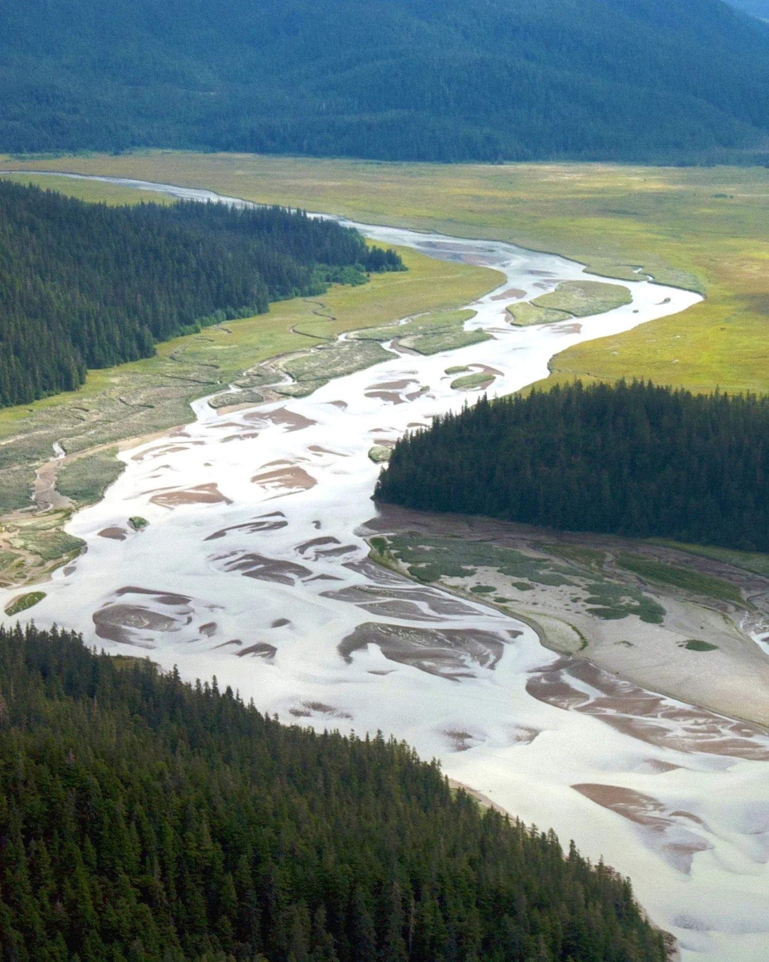 Stikine-River03.jpg