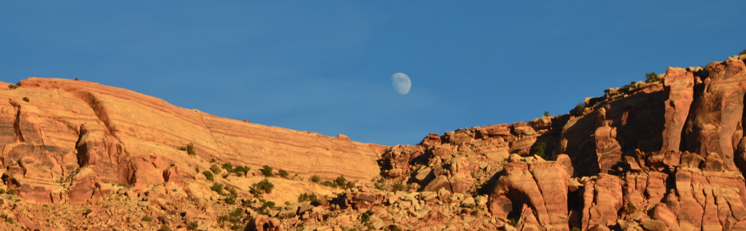 Screen Shot 2019-02-28 at 2.36.33 PM.png