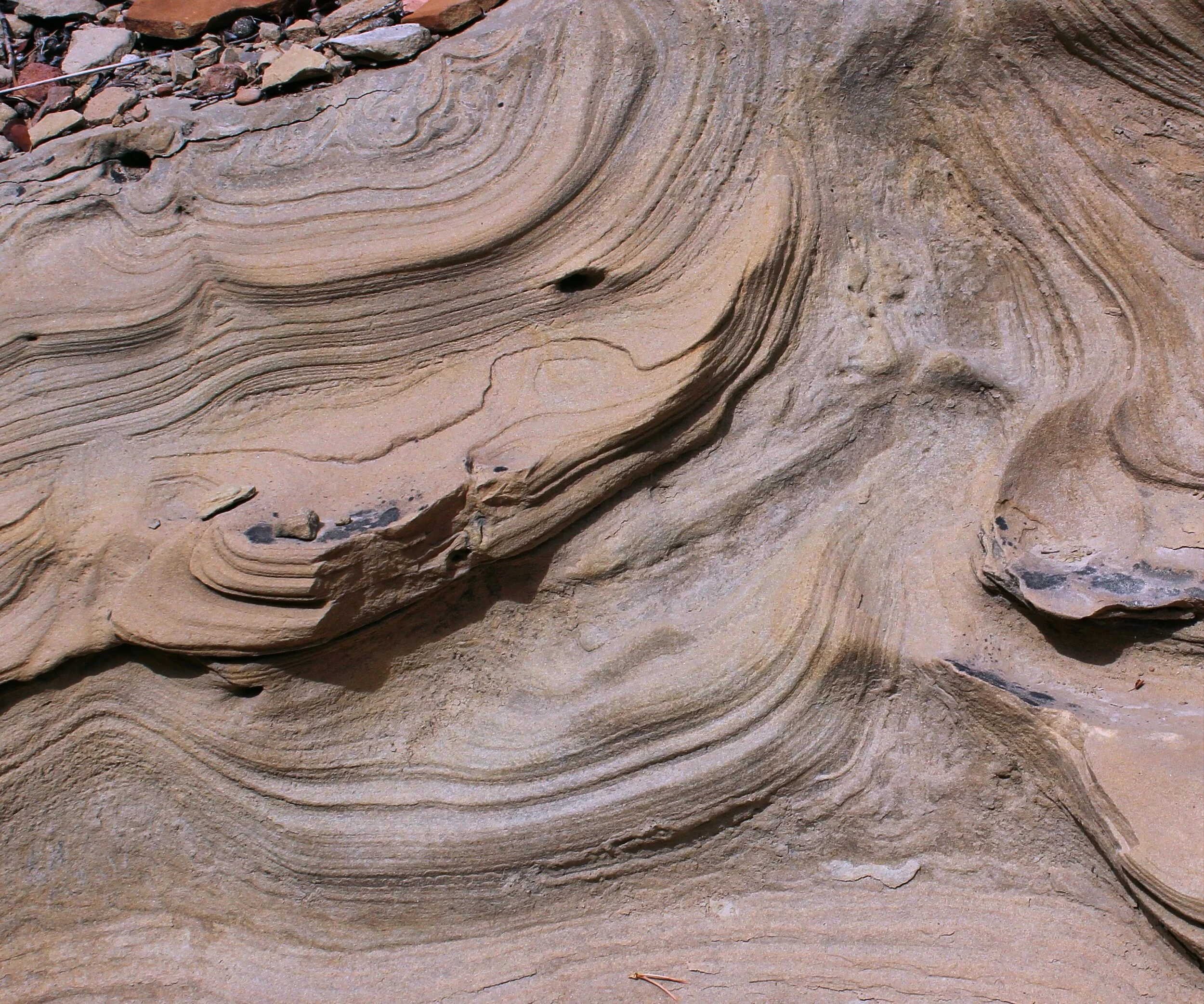 Book Cliffs Ss Soft Sed - Crop.JPG