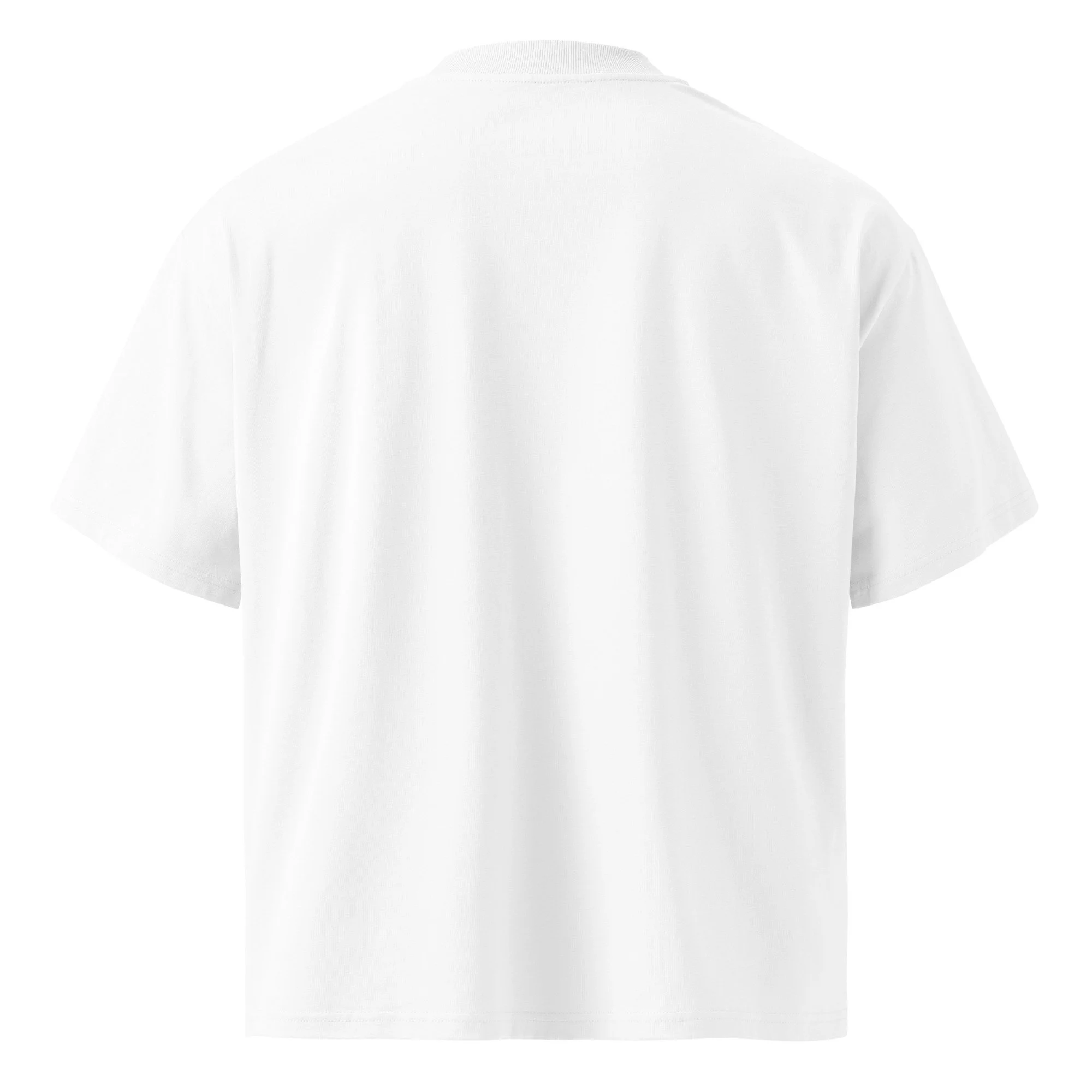 unisex-organic-oversized-high-neck-t-shirt-white-back-6954793e65eb3.jpg