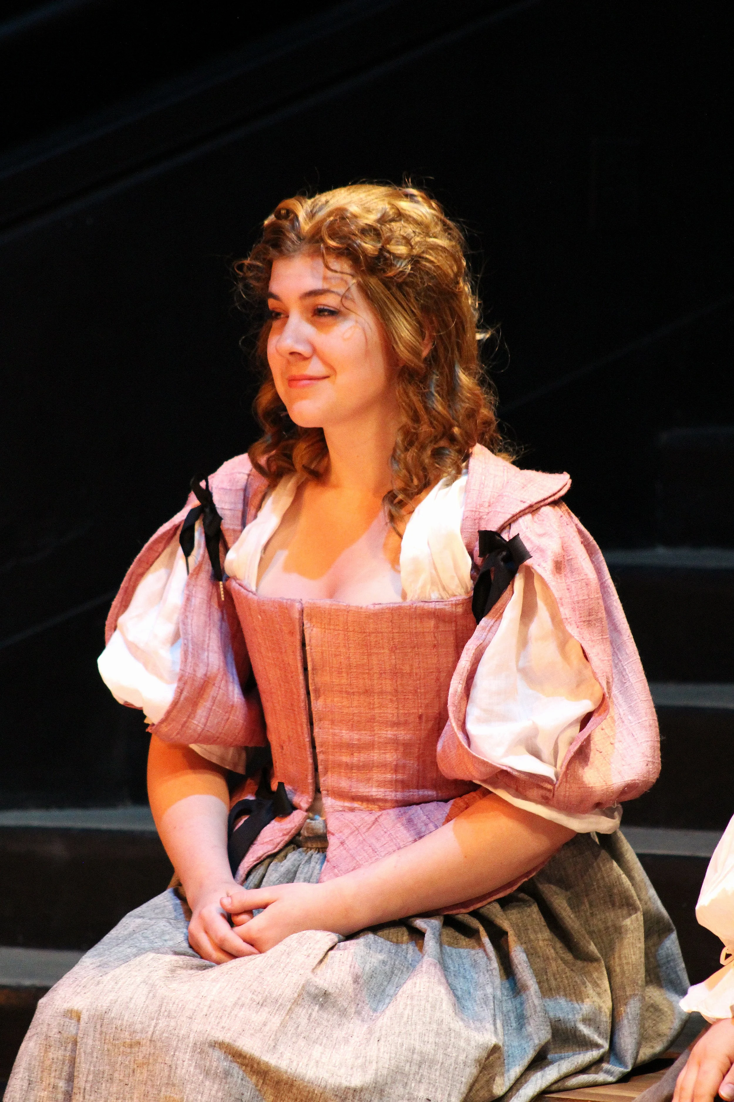 "The Three Musketeers" Cavalier Bodice 